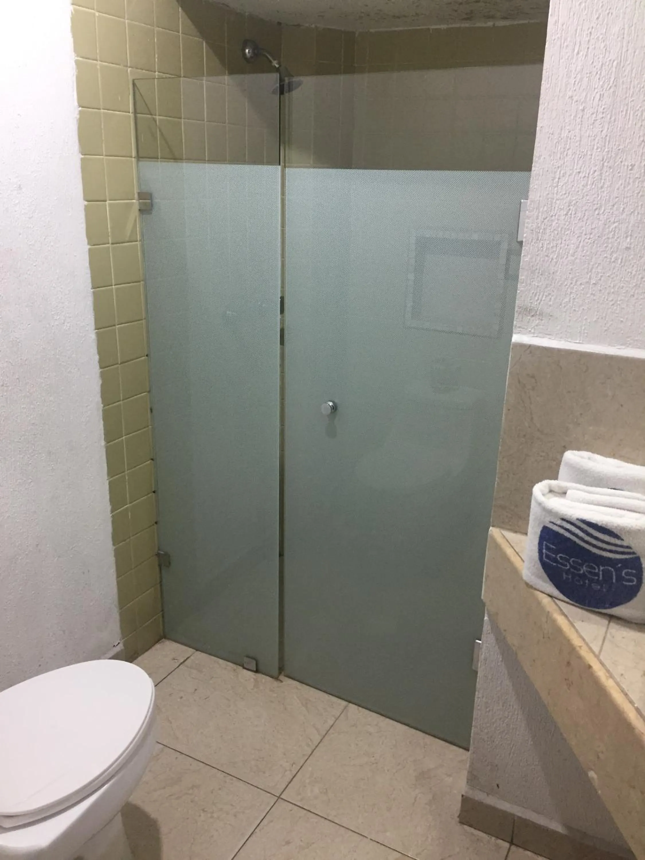 Shower in Hotel Essen's