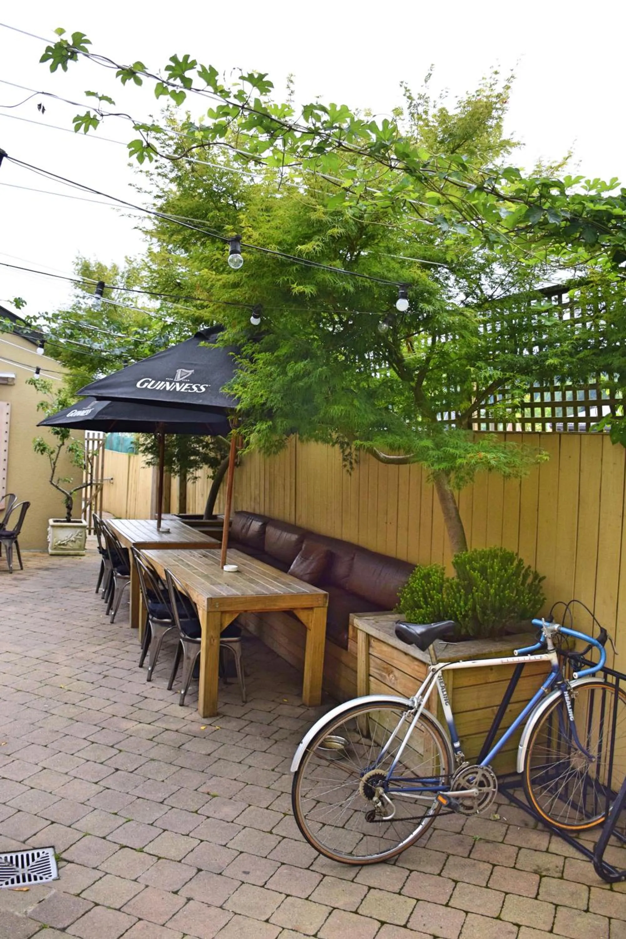 The Prince Albert Backpackers & Bar