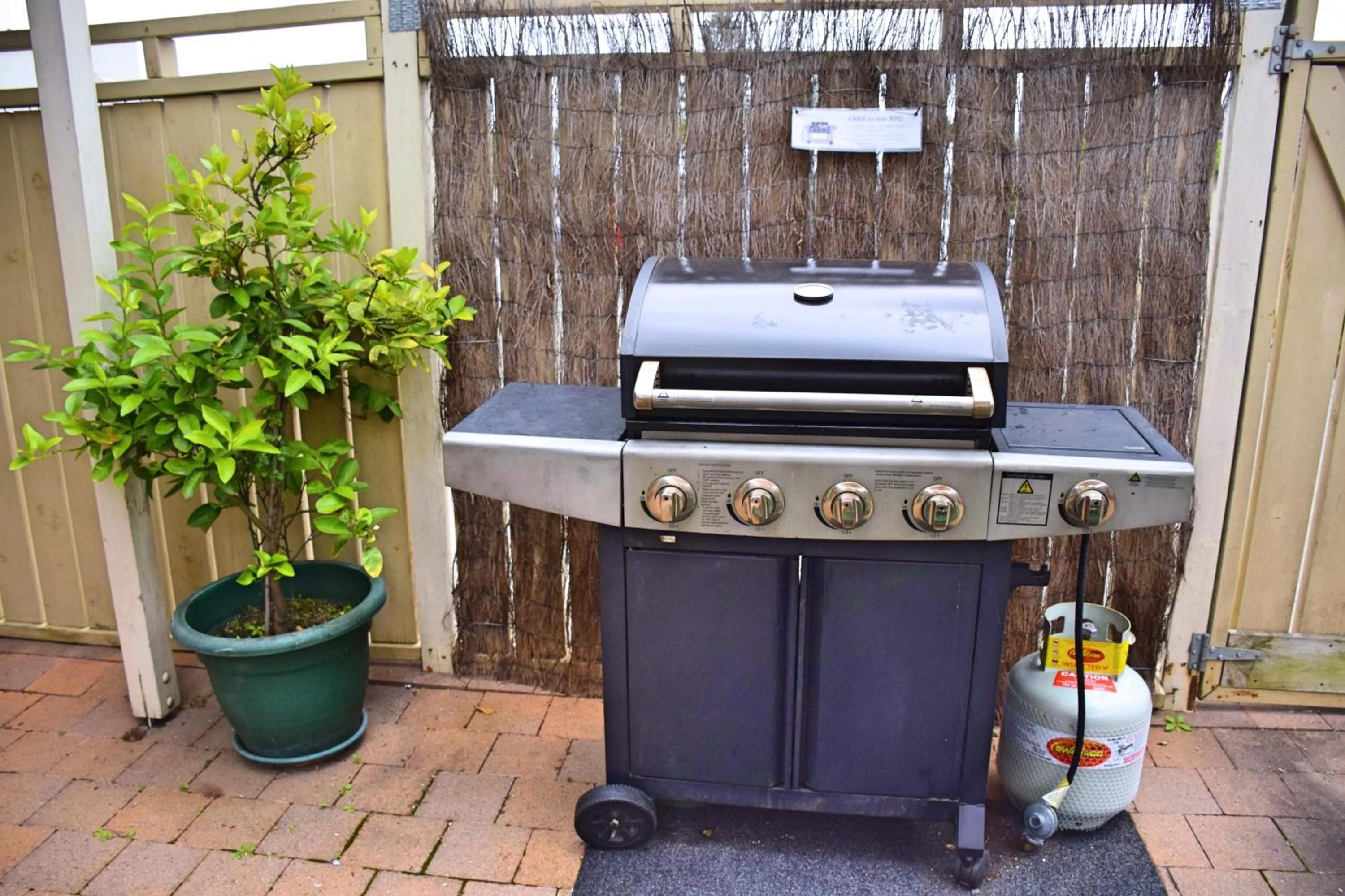 Food and drinks in The Prince Albert Backpackers & Bar