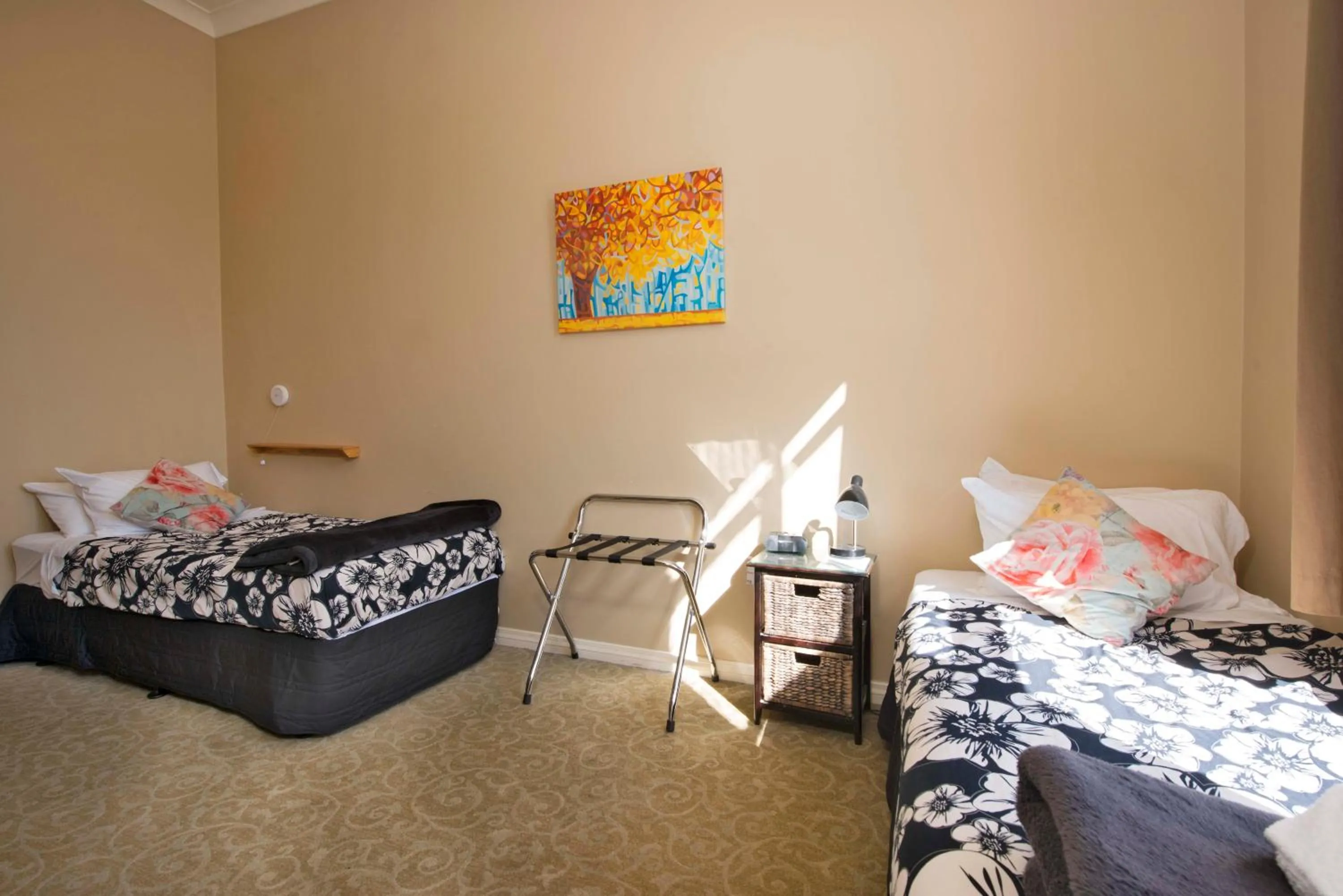 Bed in The Prince Albert Backpackers & Bar