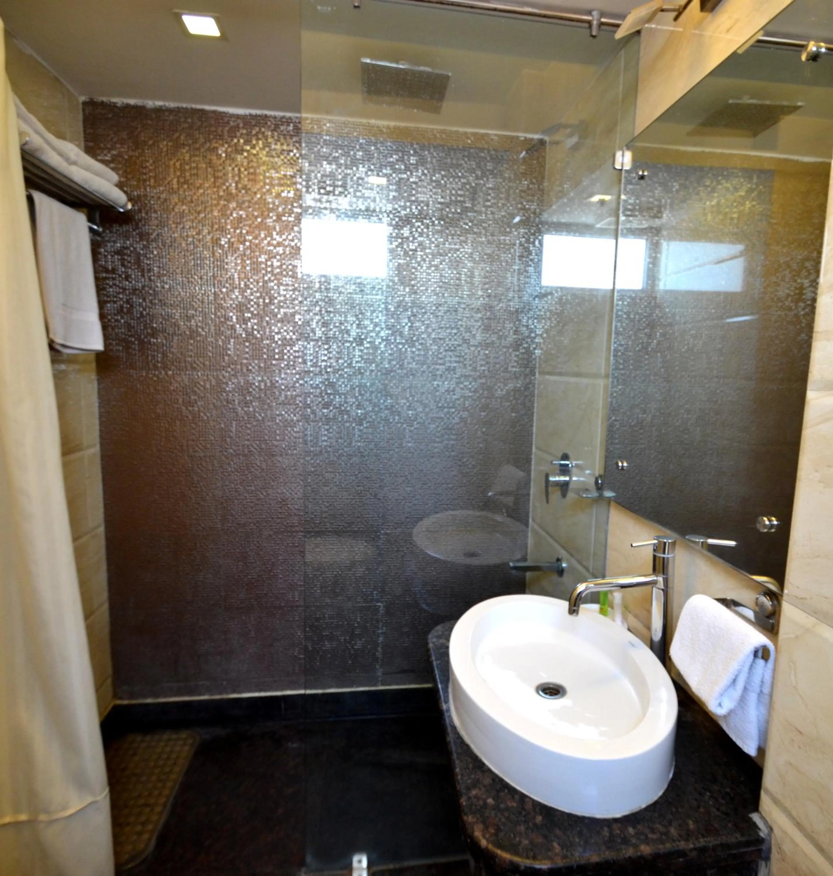 Shower in Hotel Metro View
