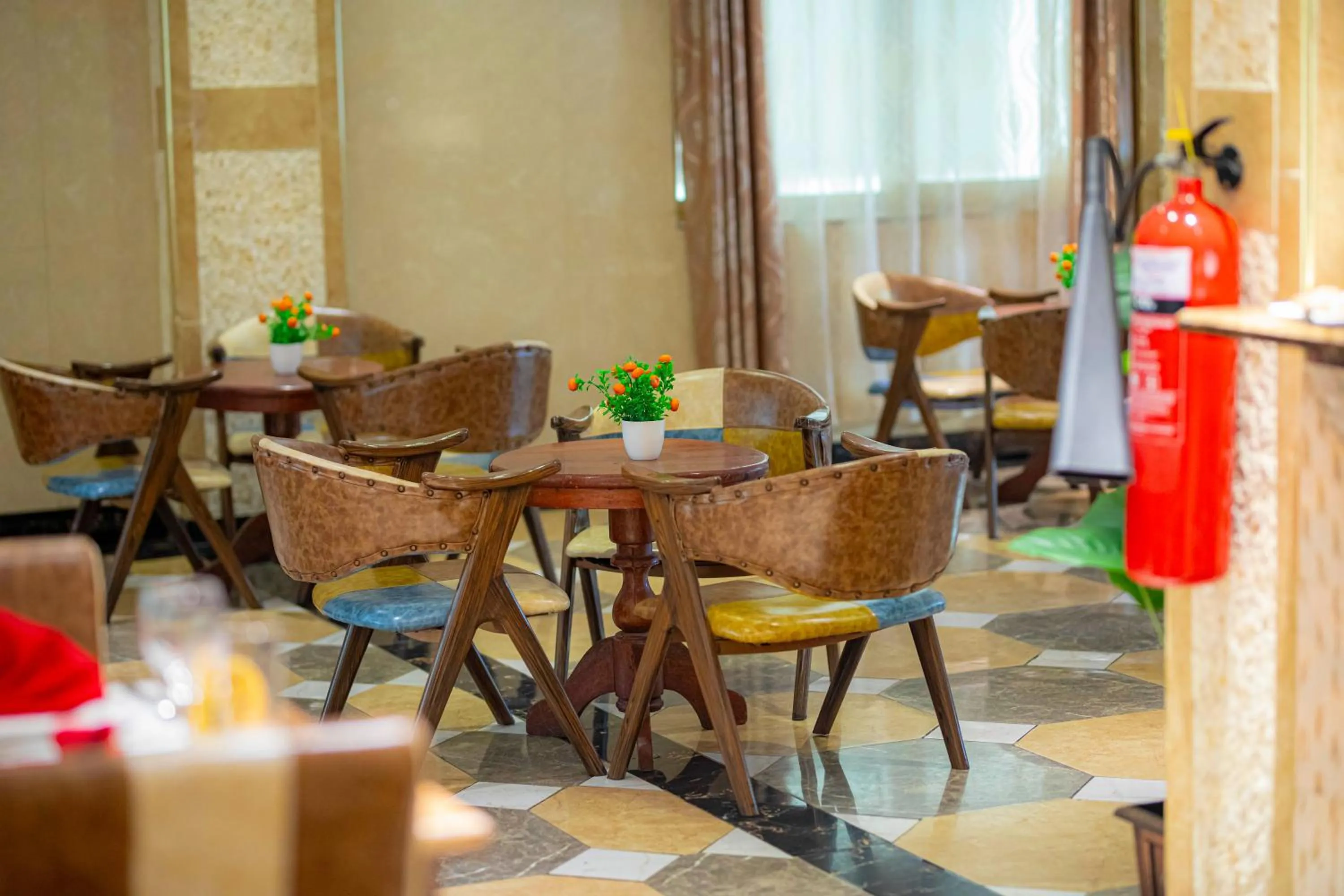 Restaurant/places to eat in Tiffany Diamond Hotels Ltd - Indira Gandhi street