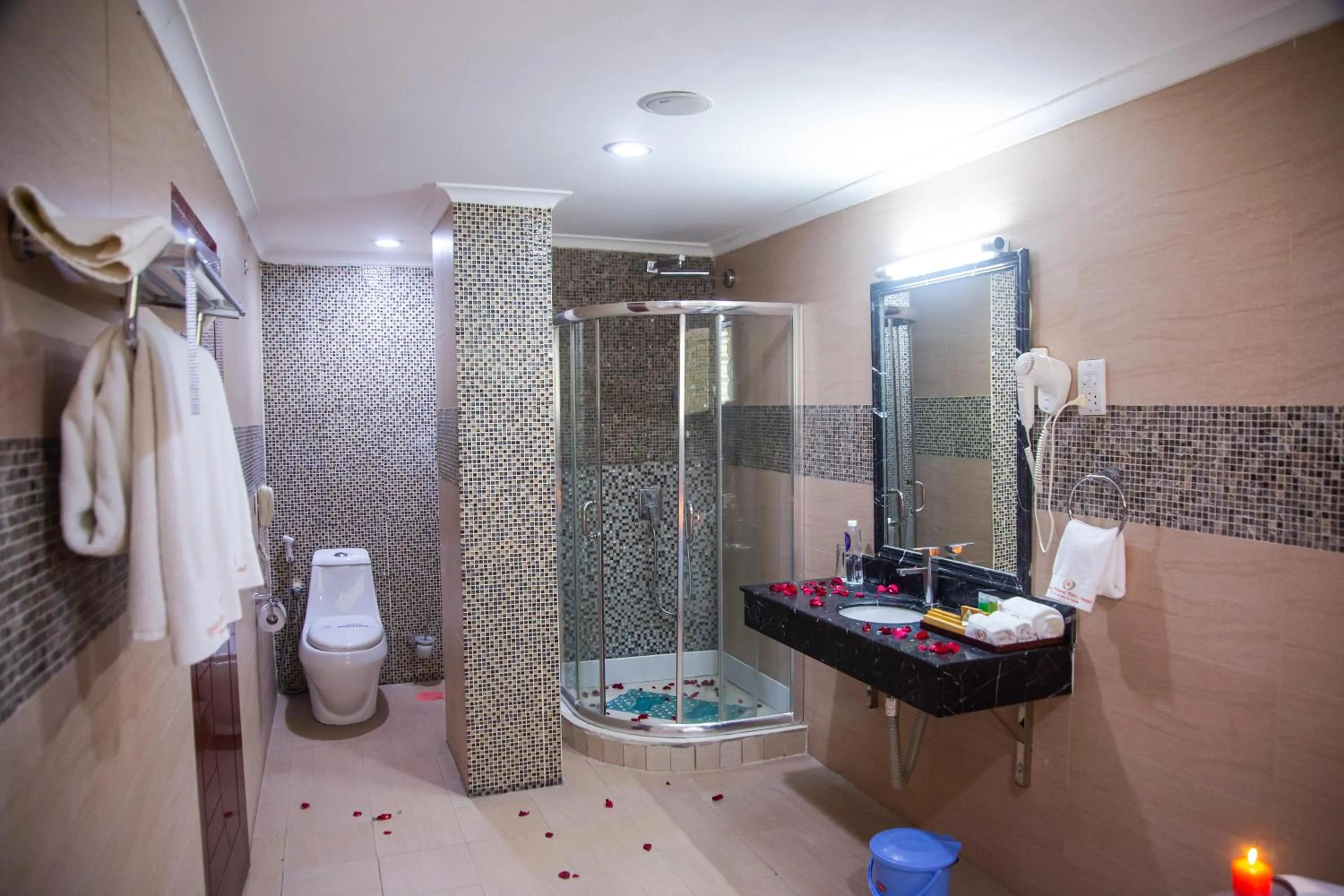 Toilet in Tiffany Diamond Hotels Ltd - Indira Gandhi street