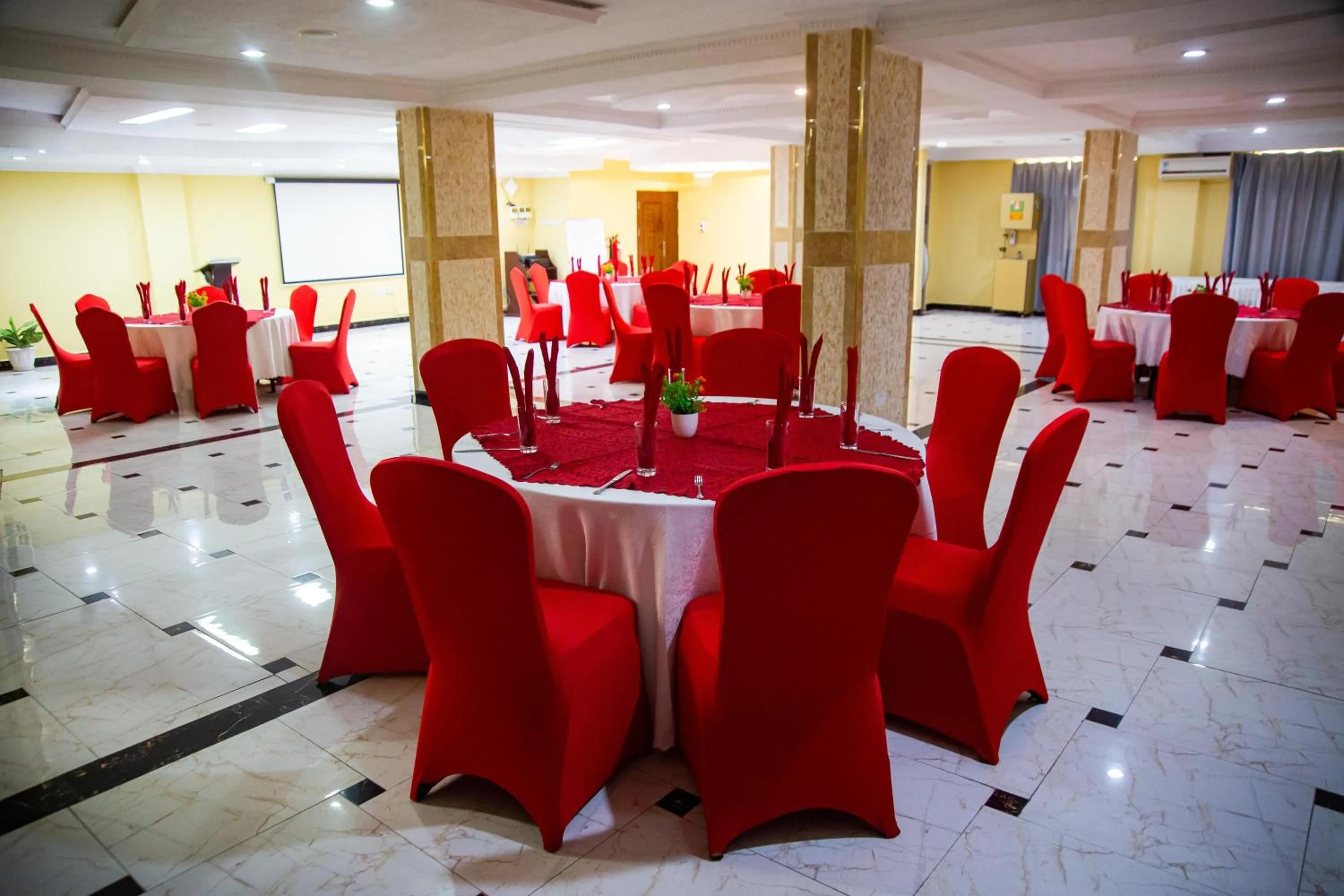 Banquet/Function facilities in Tiffany Diamond Hotels Ltd - Indira Gandhi street