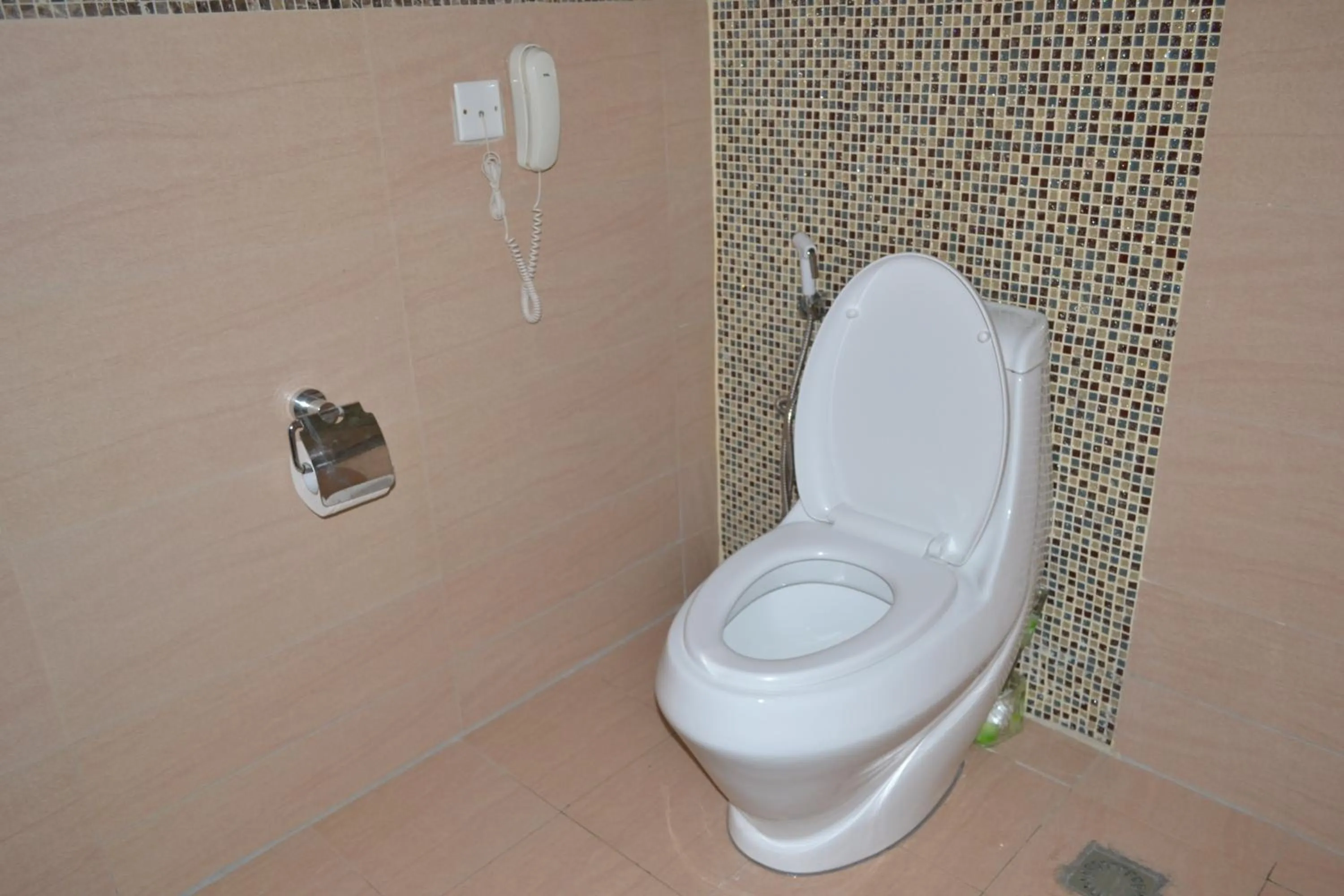 Toilet in Tiffany Diamond Hotels Ltd - Indira Gandhi street