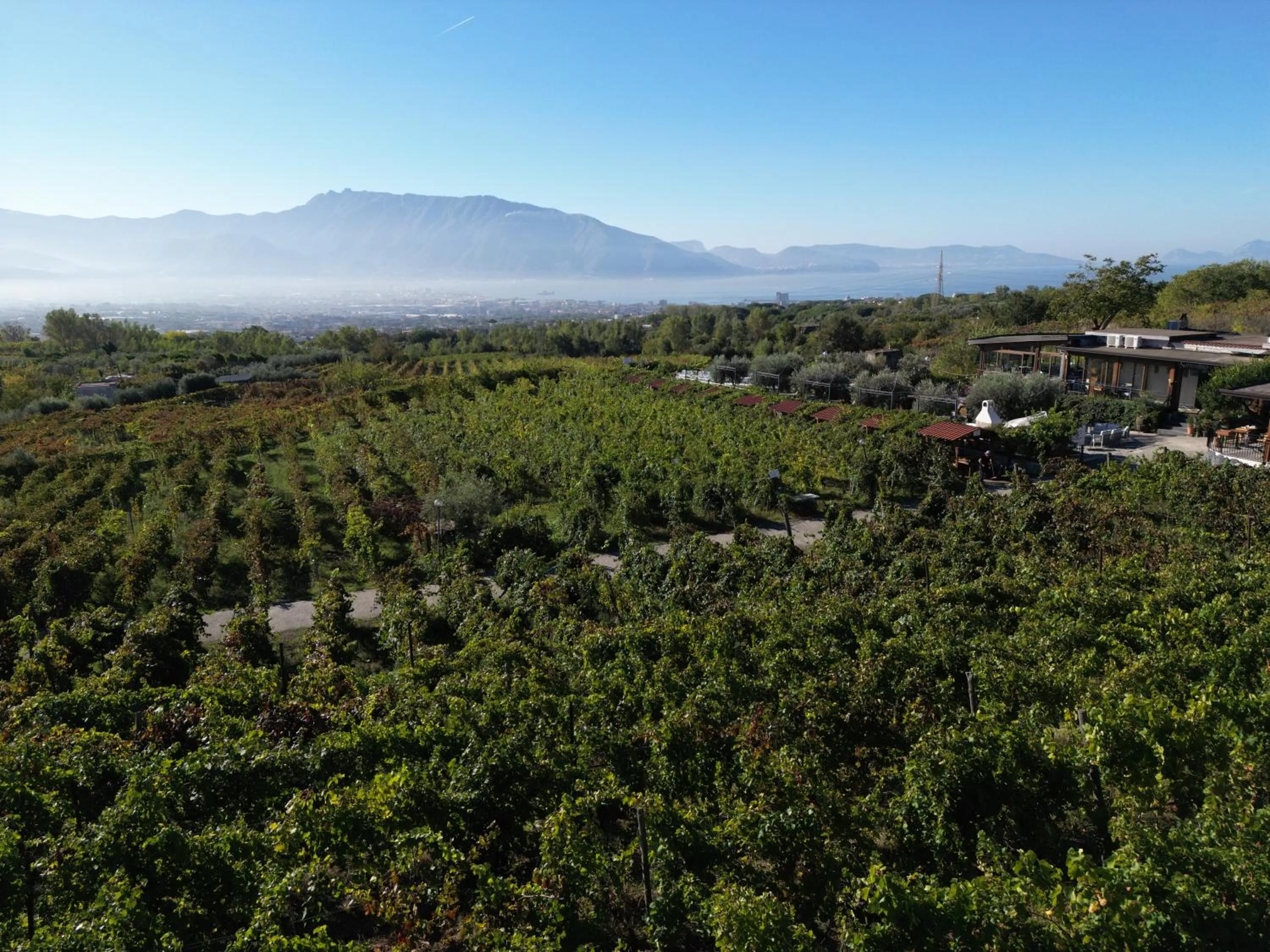 Natural landscape in Vesuvio Inn Bed & Wine Experience