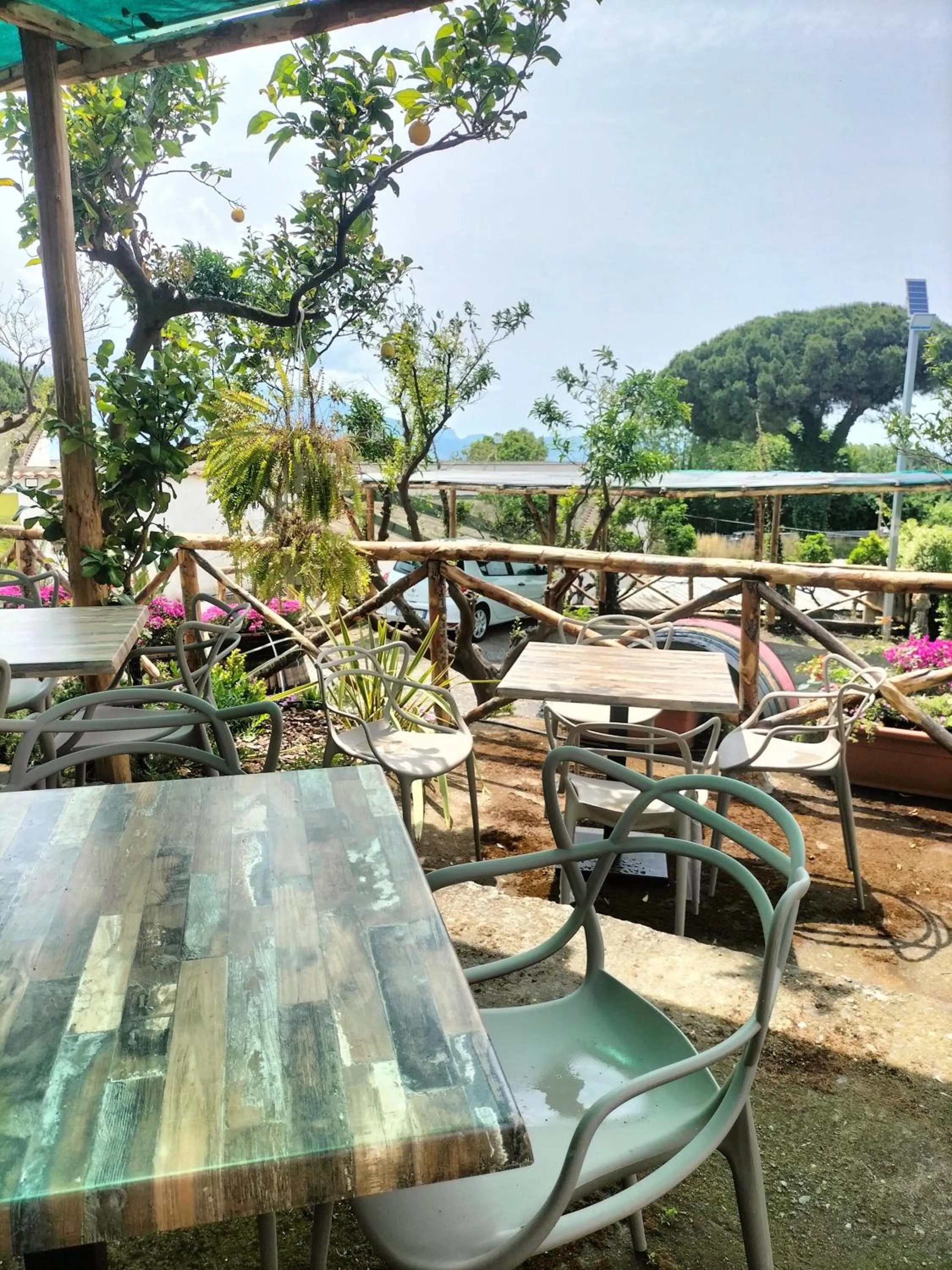 Garden in Vesuvio Inn Bed & Wine Experience