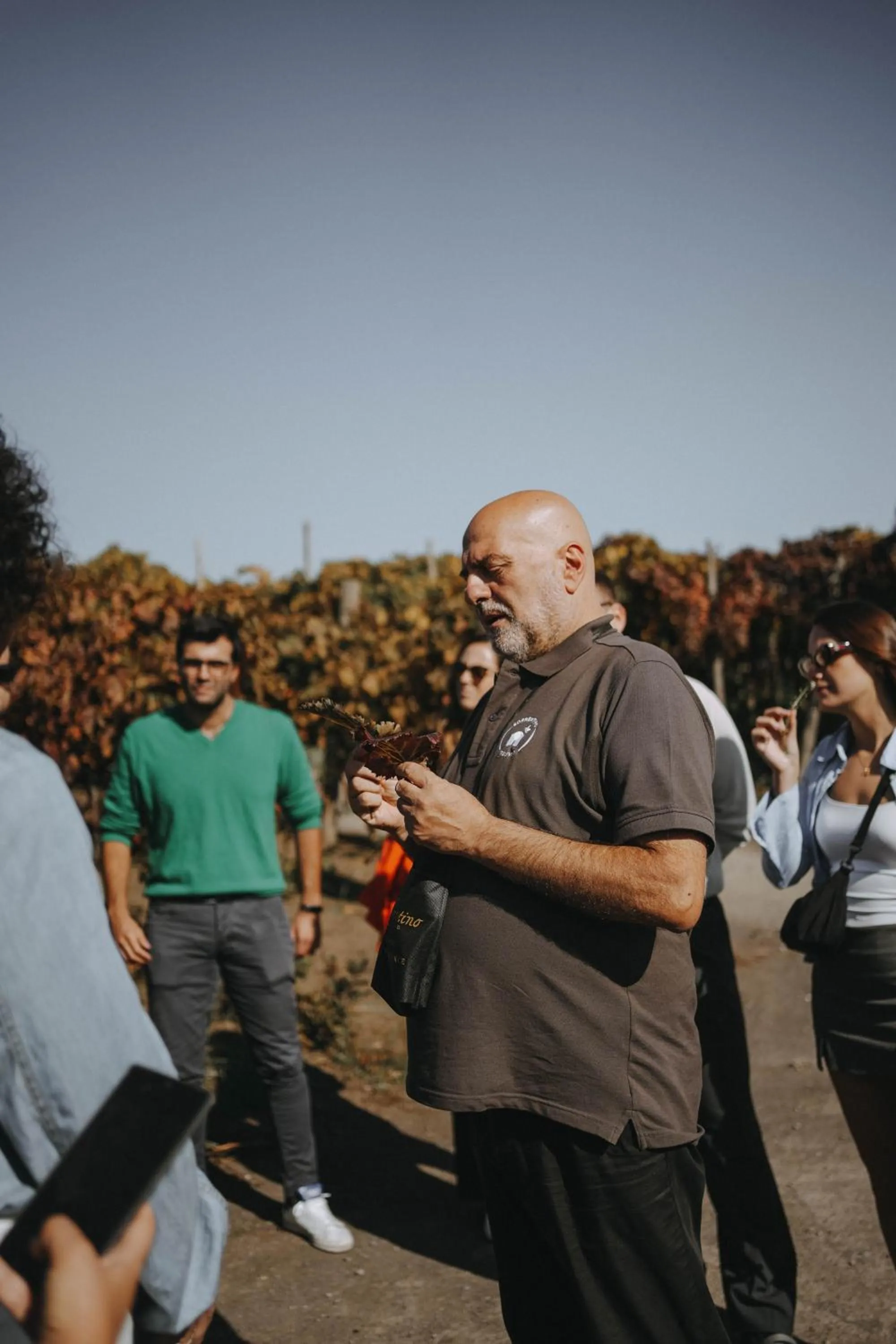 Activities in Vesuvio Inn Bed & Wine Experience