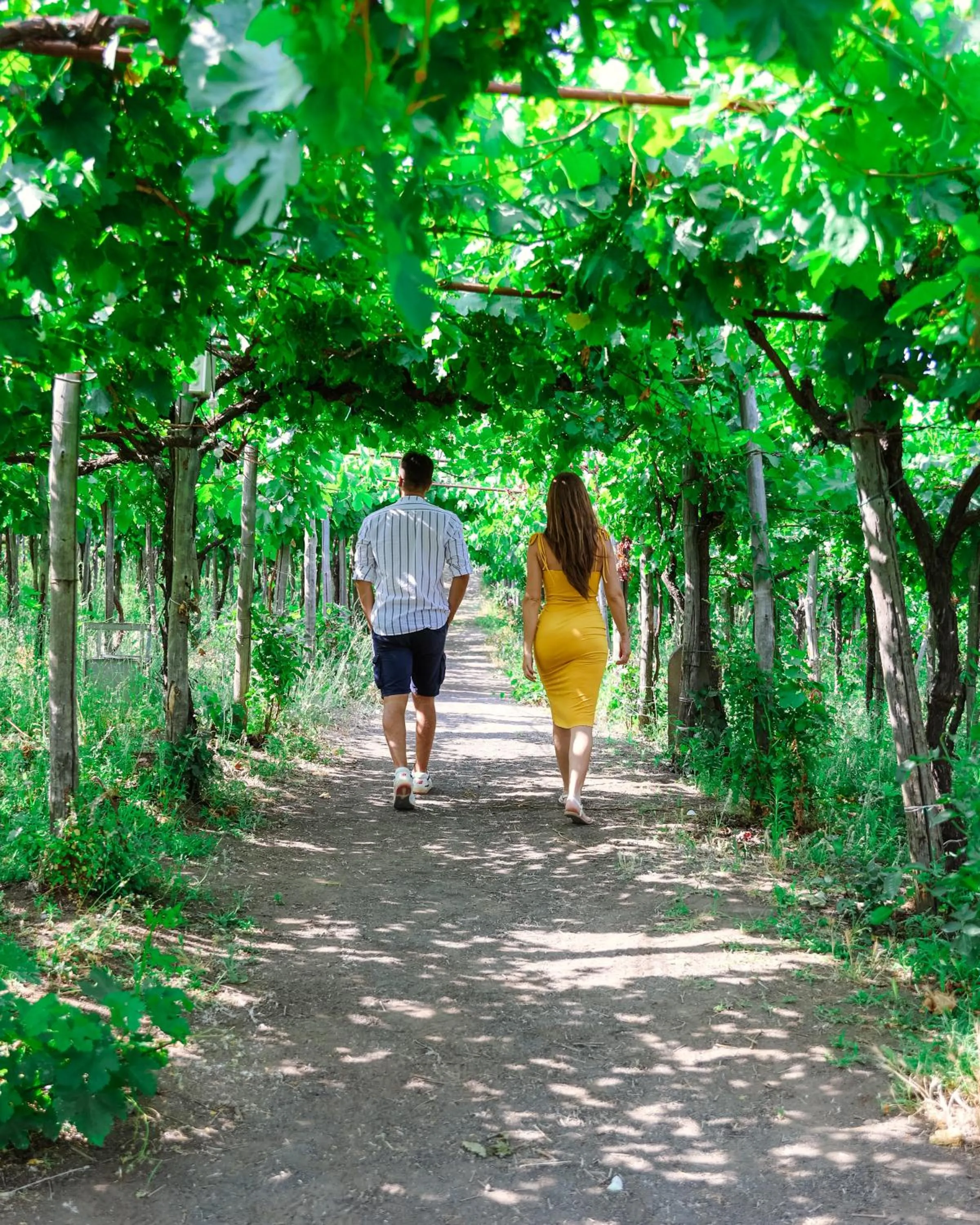 Natural landscape in Vesuvio Inn Bed & Wine Experience