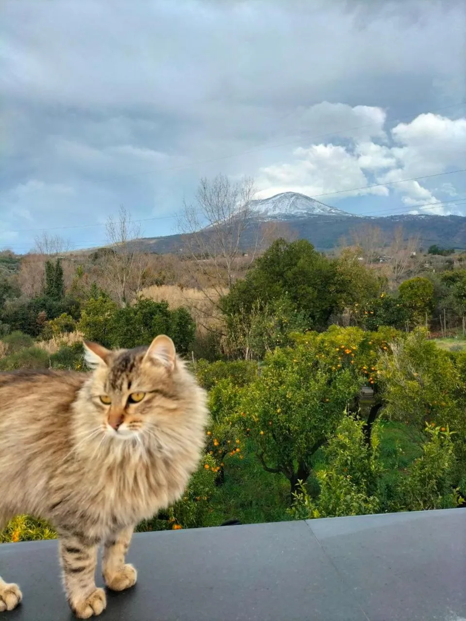 View (from property/room) in Vesuvio Inn Bed & Wine Experience