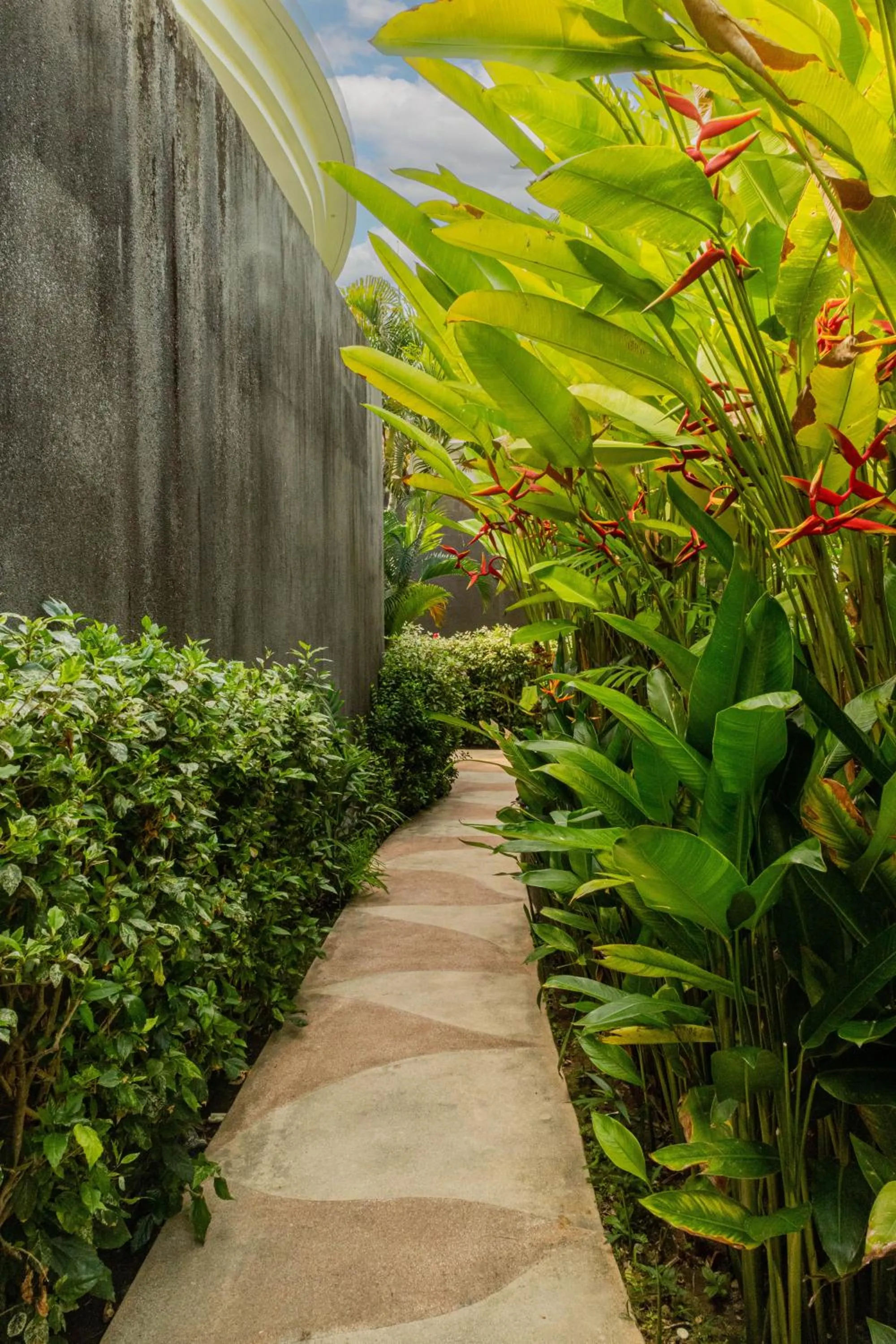 Garden in Taman Mesari Luxury Villas-Seminyak