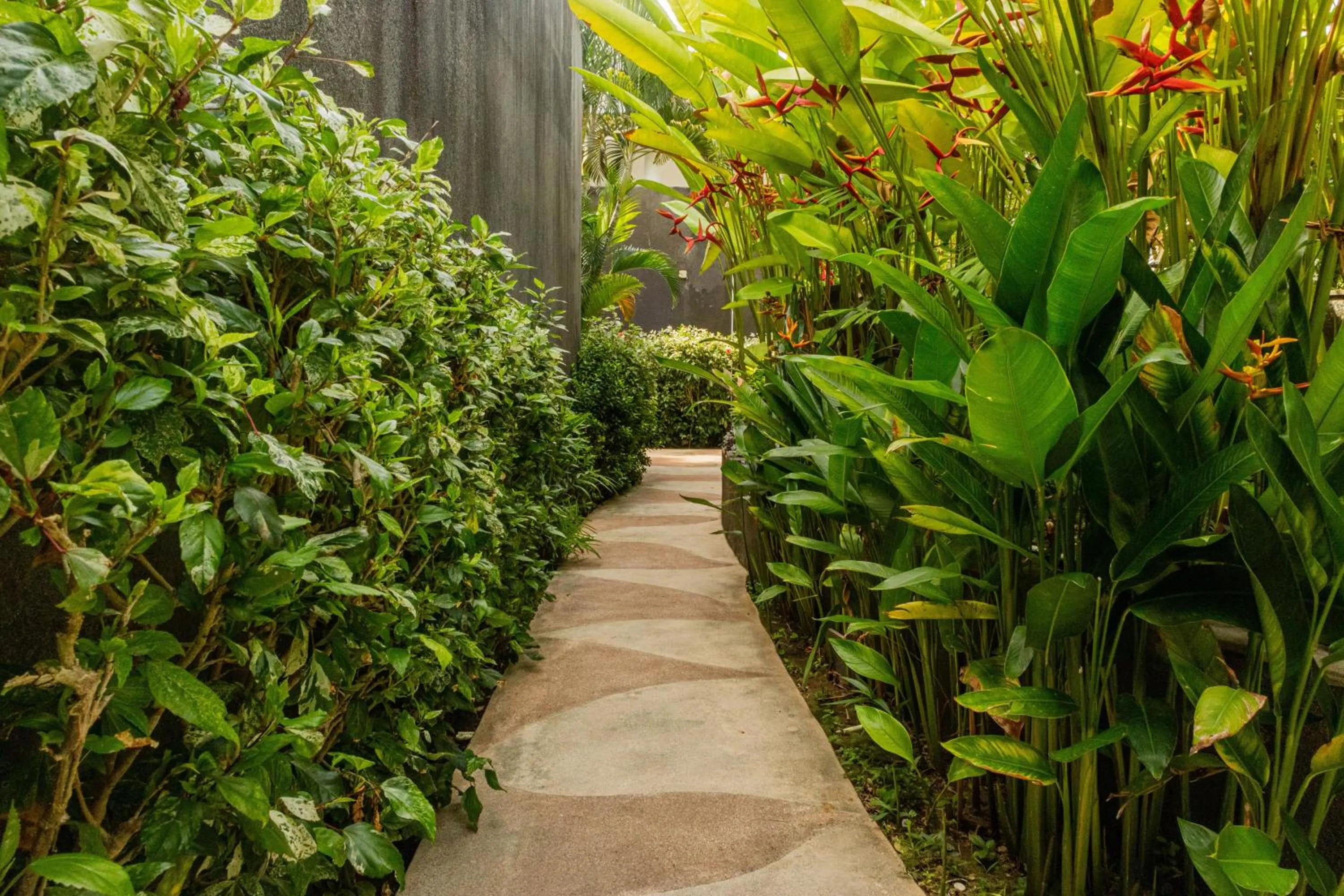 Garden in Taman Mesari Luxury Villas-Seminyak