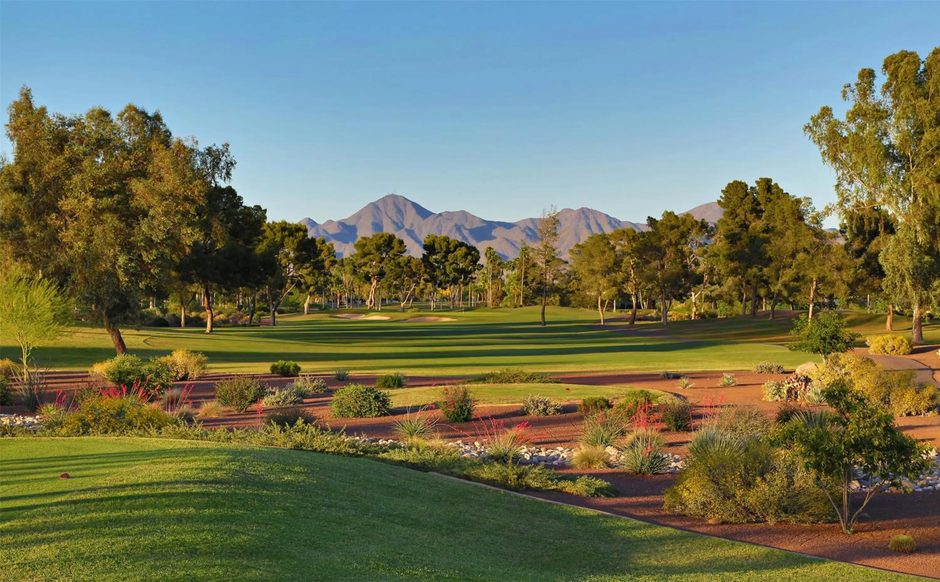 Golfcourse in The Scottsdale Resort & Spa, Curio Collection by Hilton