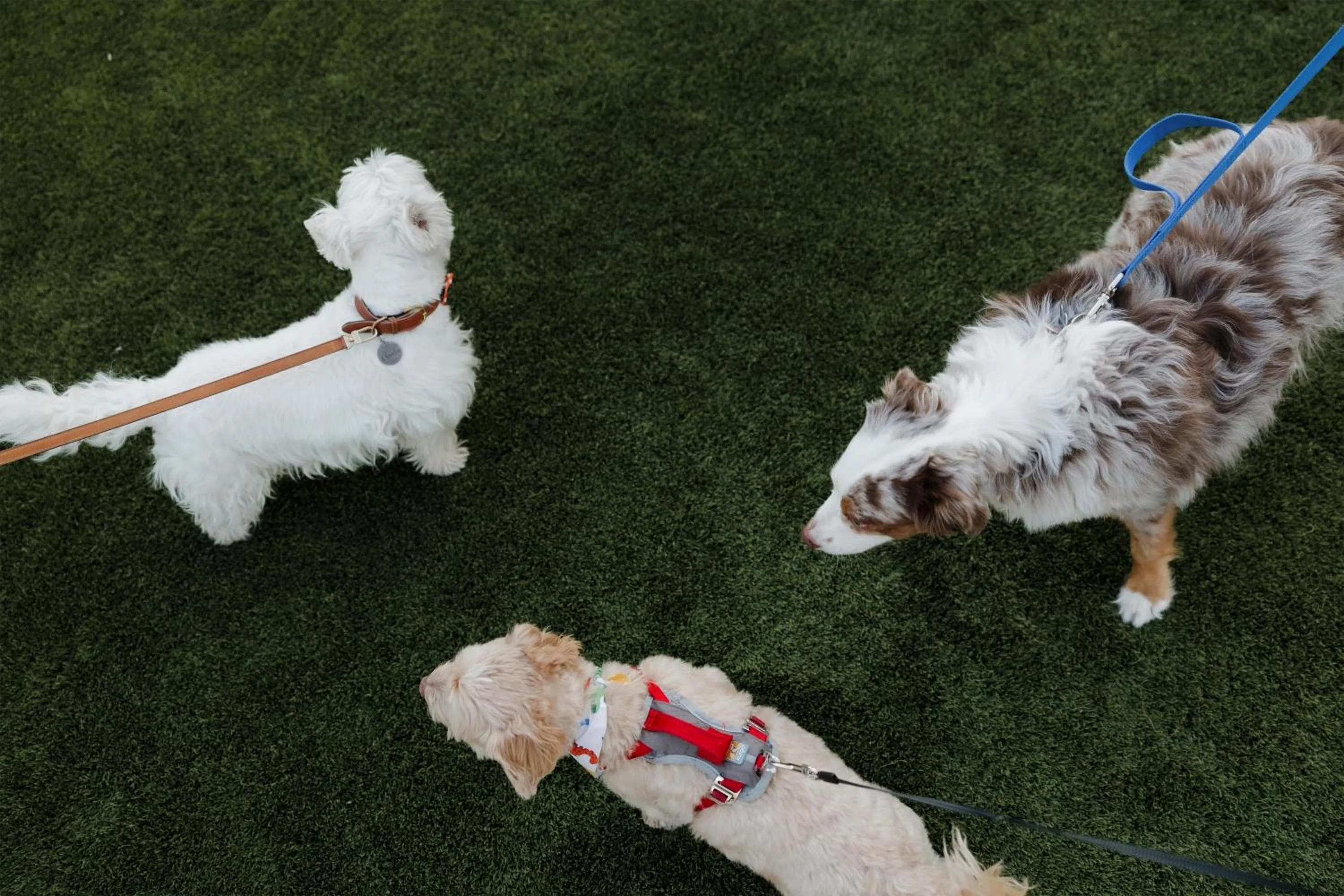 The Scottsdale Resort & Spa, Curio Collection by Hilton