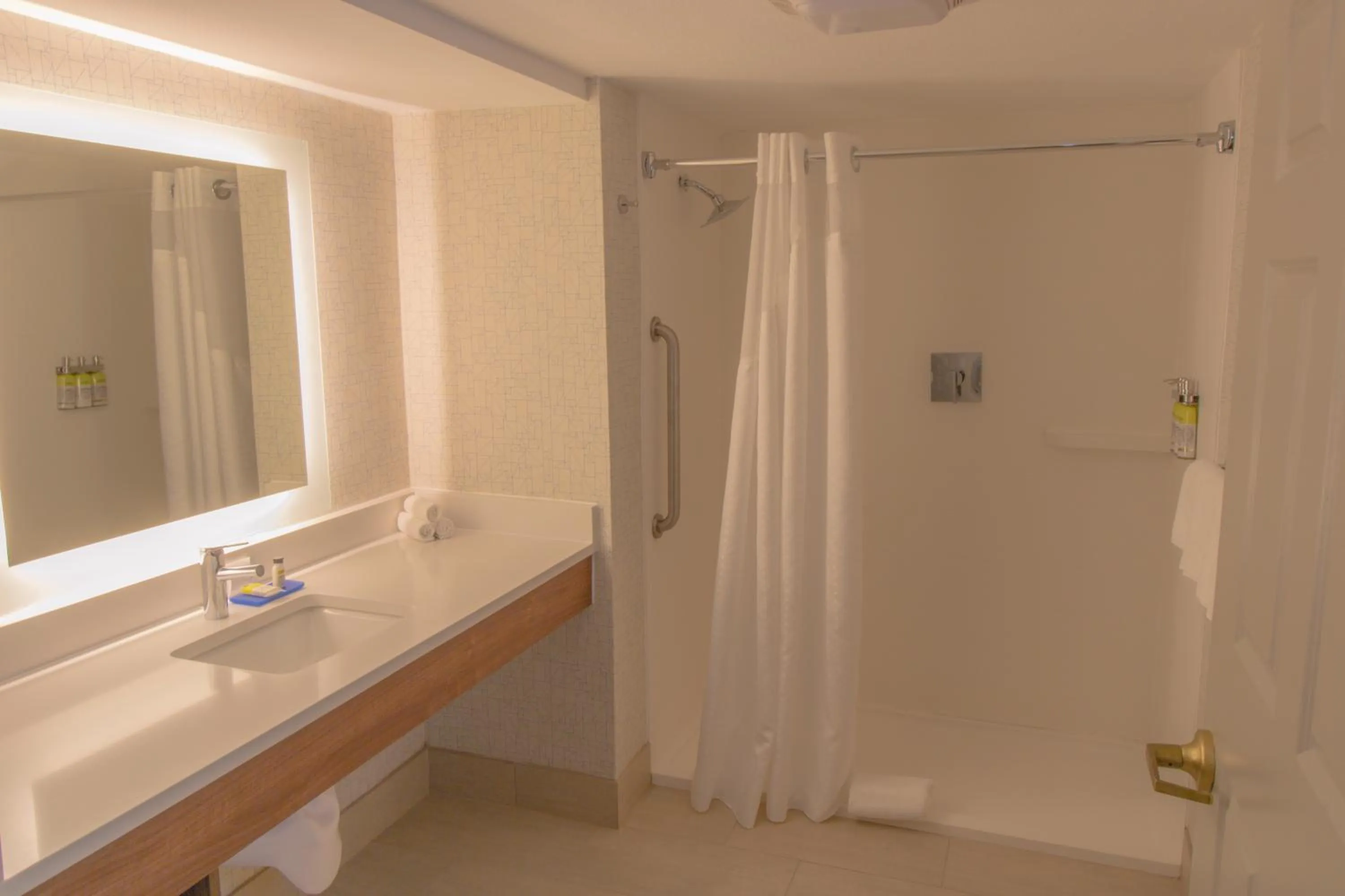 Bathroom in Holiday Inn Express & Suites Manassas by IHG