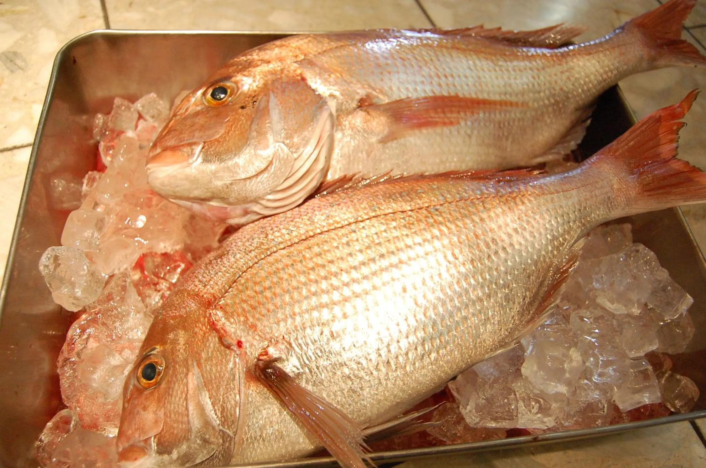 Seagrande Shimizu Station Hotel