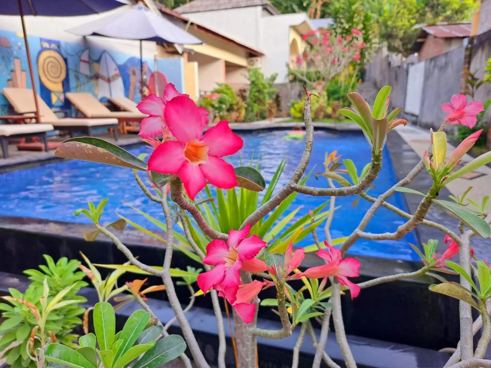 Family Garden Homestay