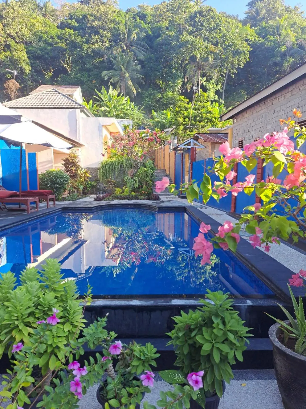 Pool view in Family Garden Homestay