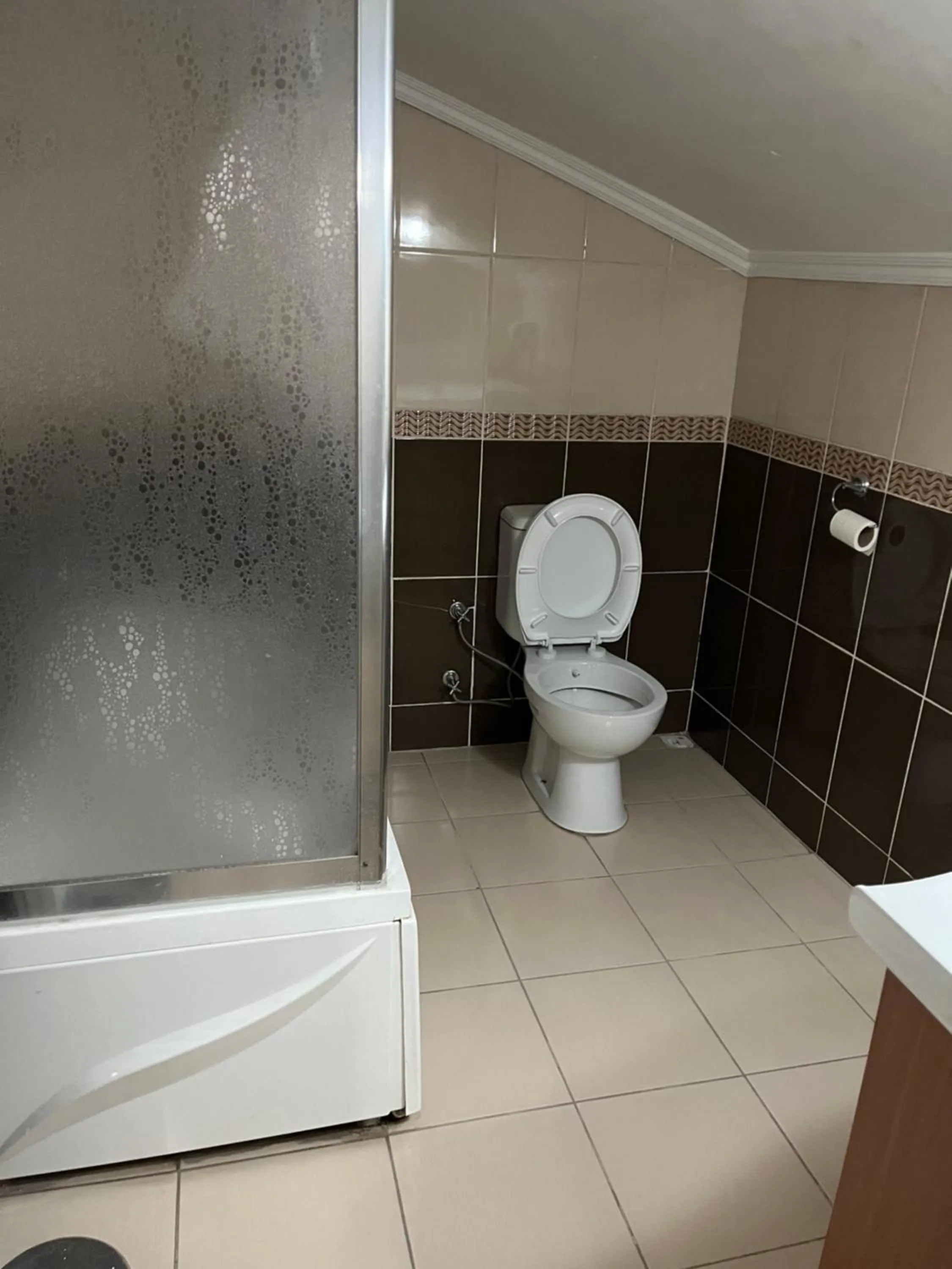 Bathroom in Balkan Palace Edirne