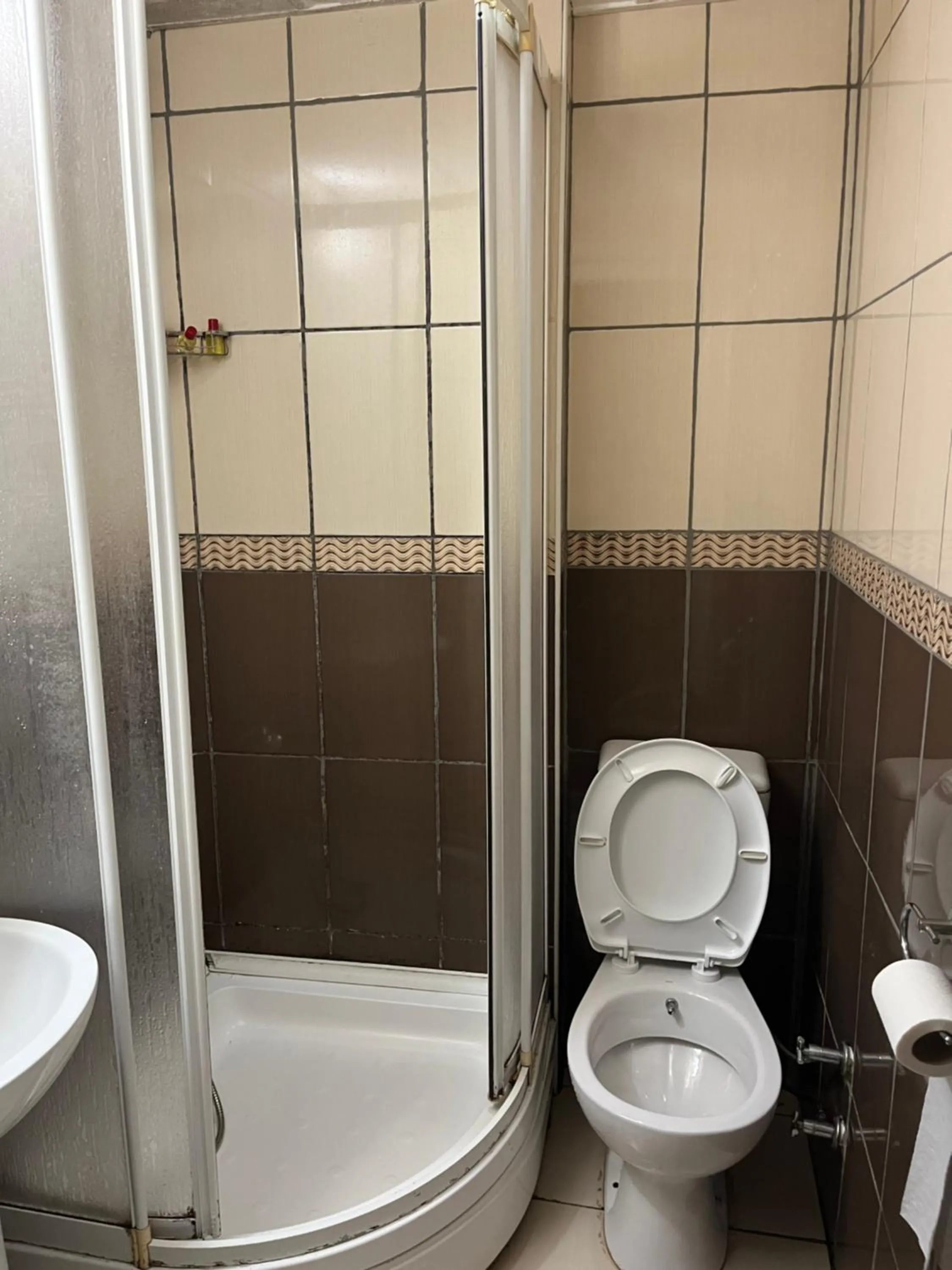 Bathroom in Balkan Palace Edirne