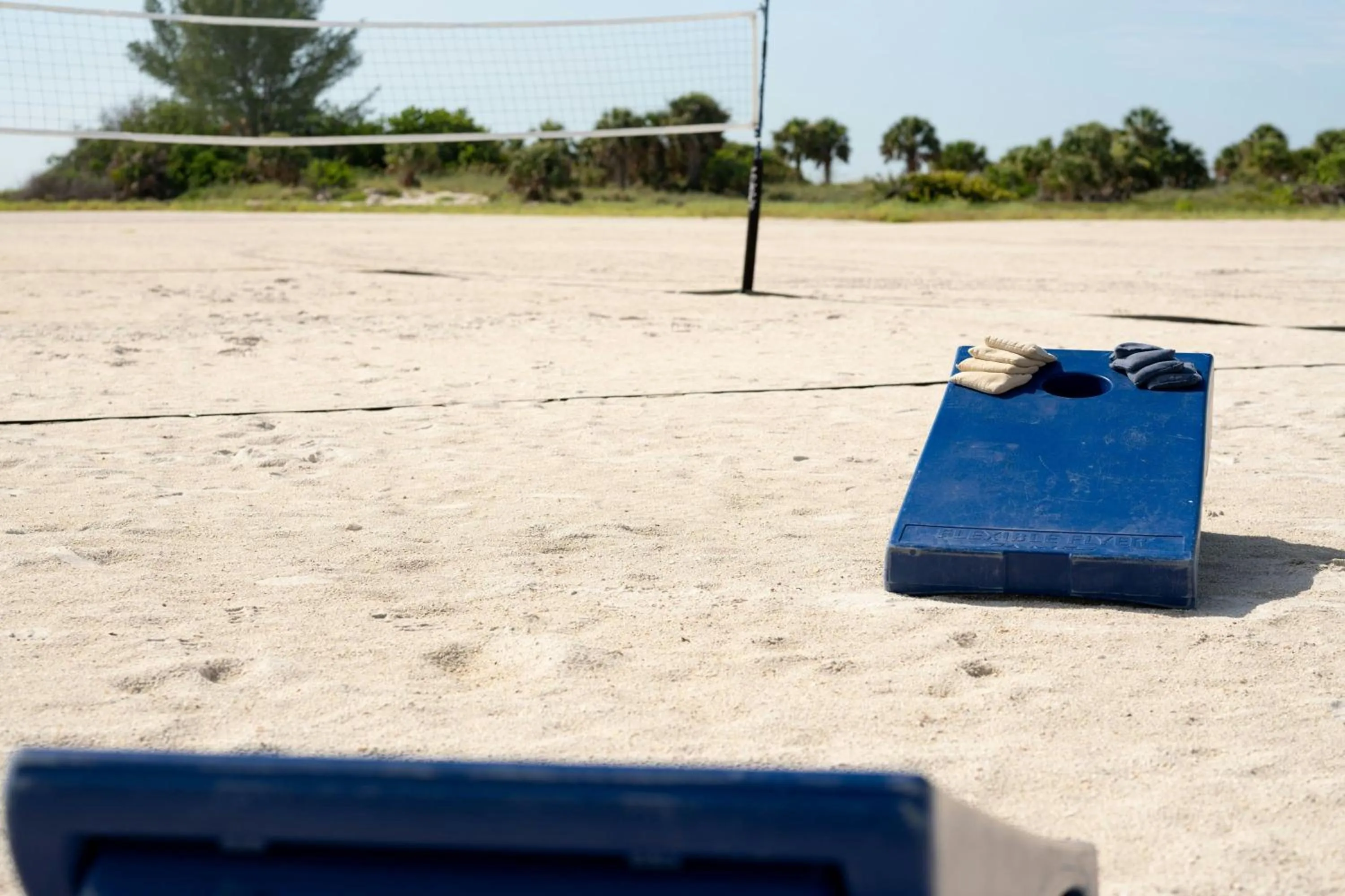 Beach in Clearwater Beach Sheraton Resort on Sand Key