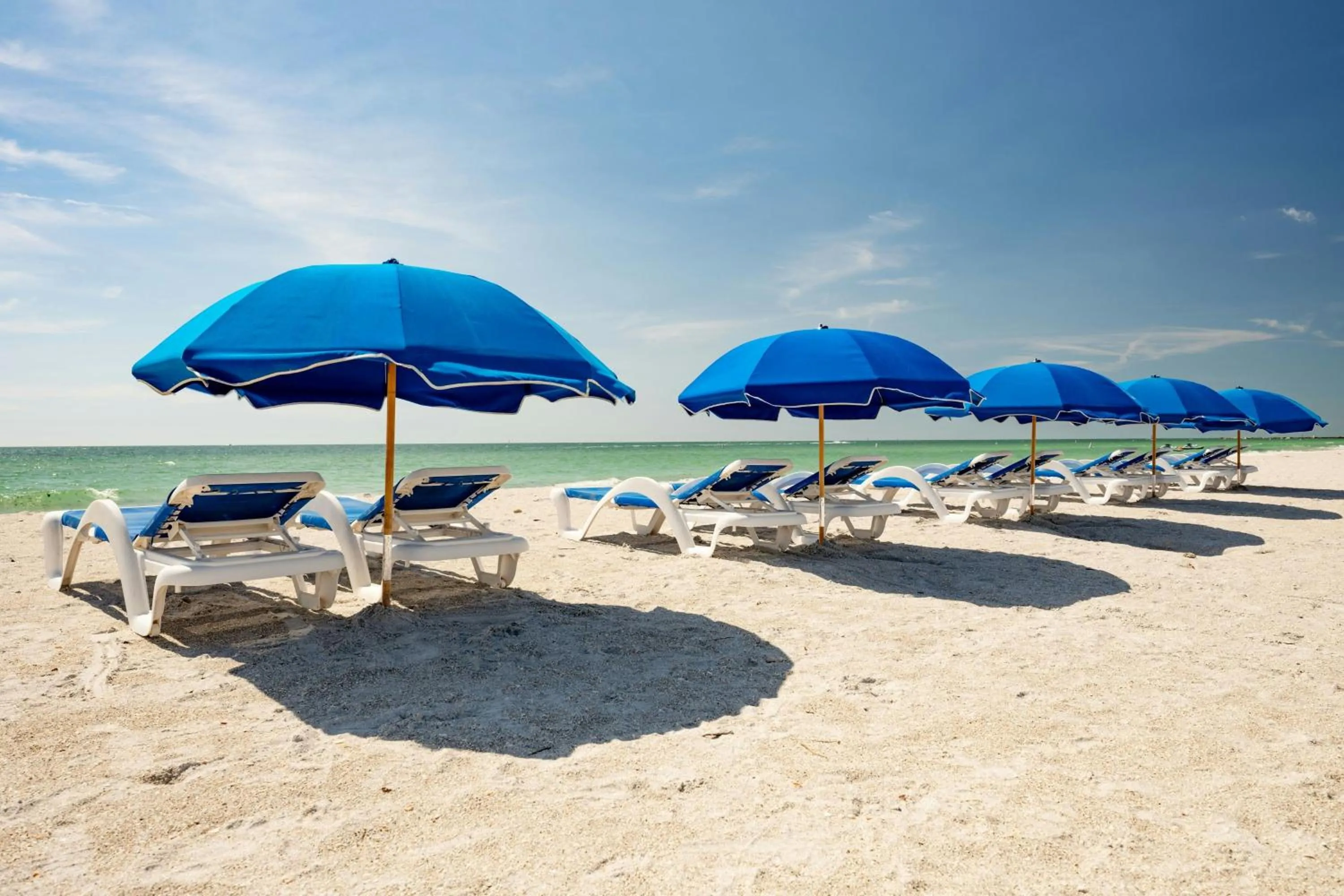Beach in Clearwater Beach Sheraton Resort on Sand Key