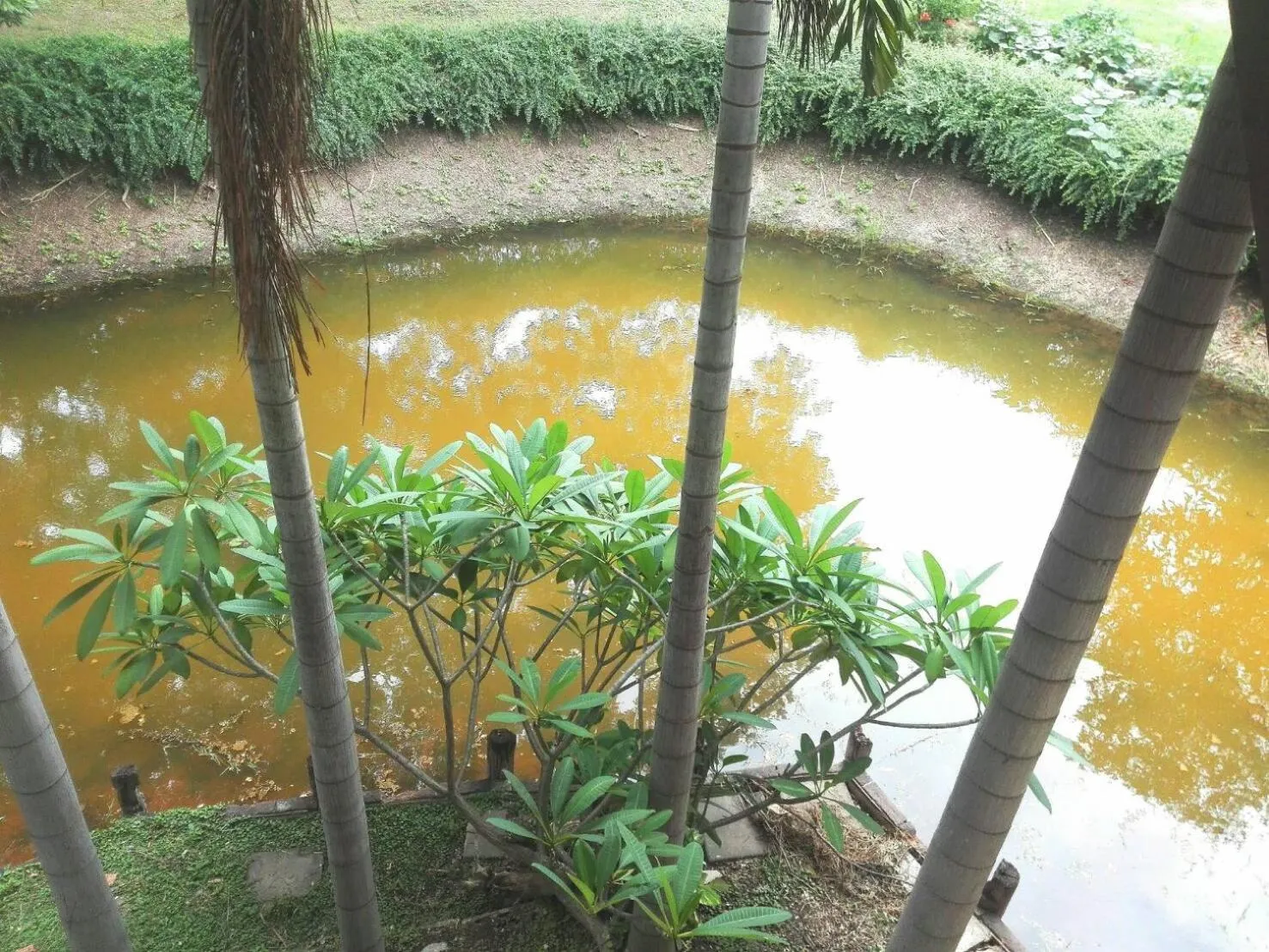 Luang Chumni Village