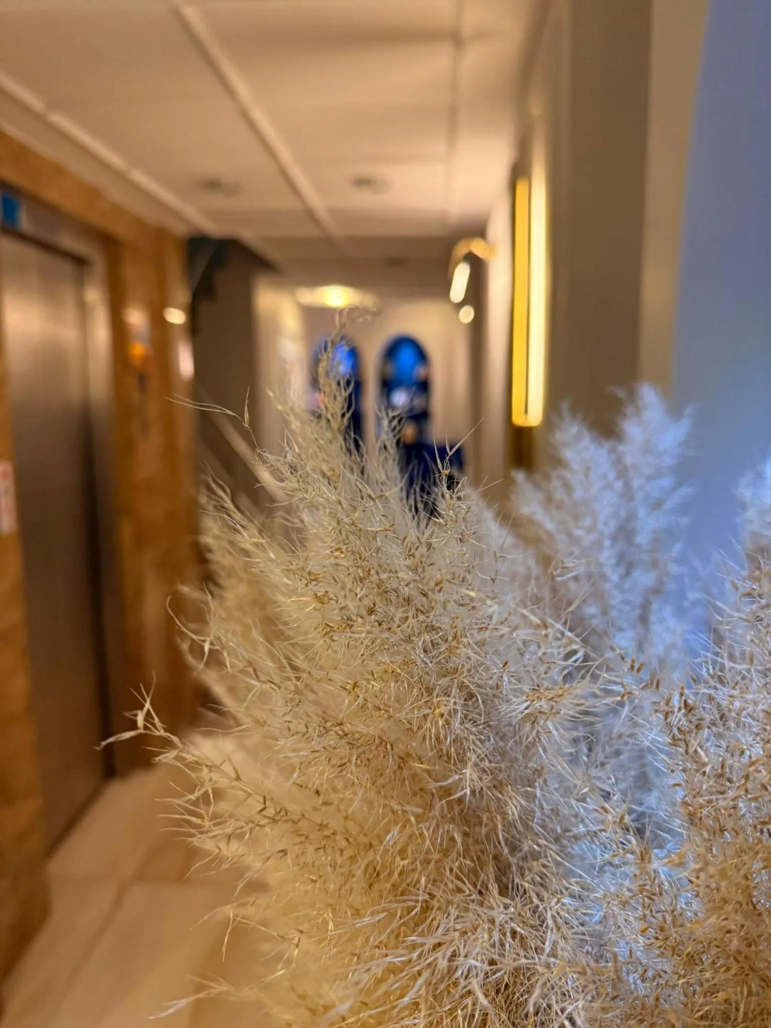 Lobby or reception in New Florenta Hotel