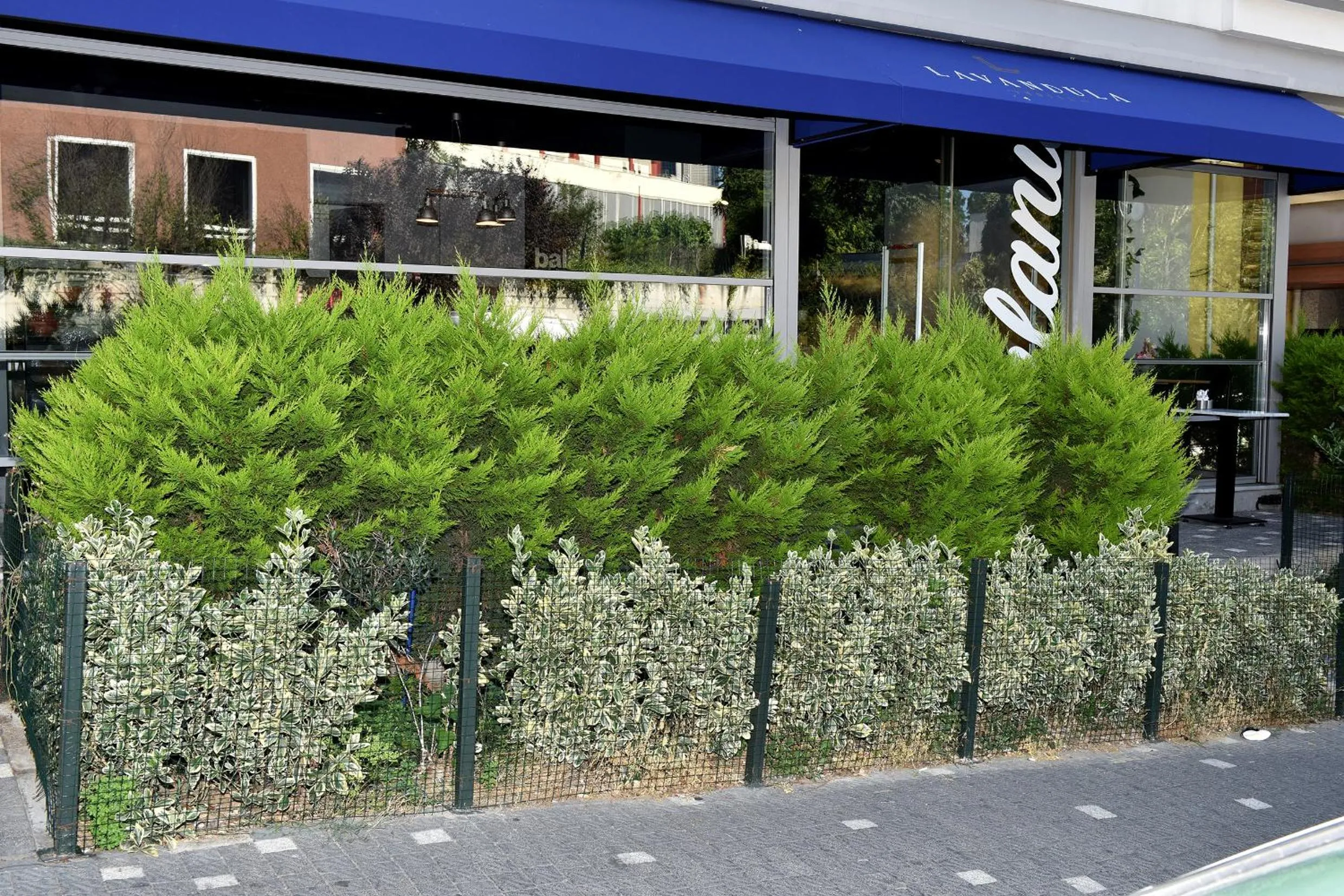 Day in Levent Lavandula Hotel