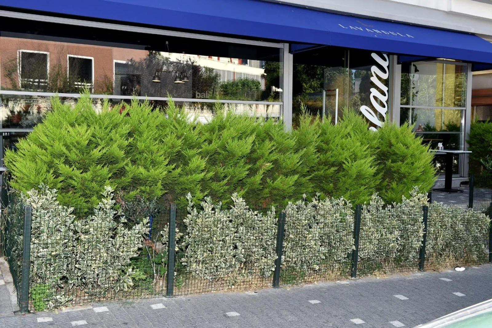 Spring in Levent Lavandula Hotel