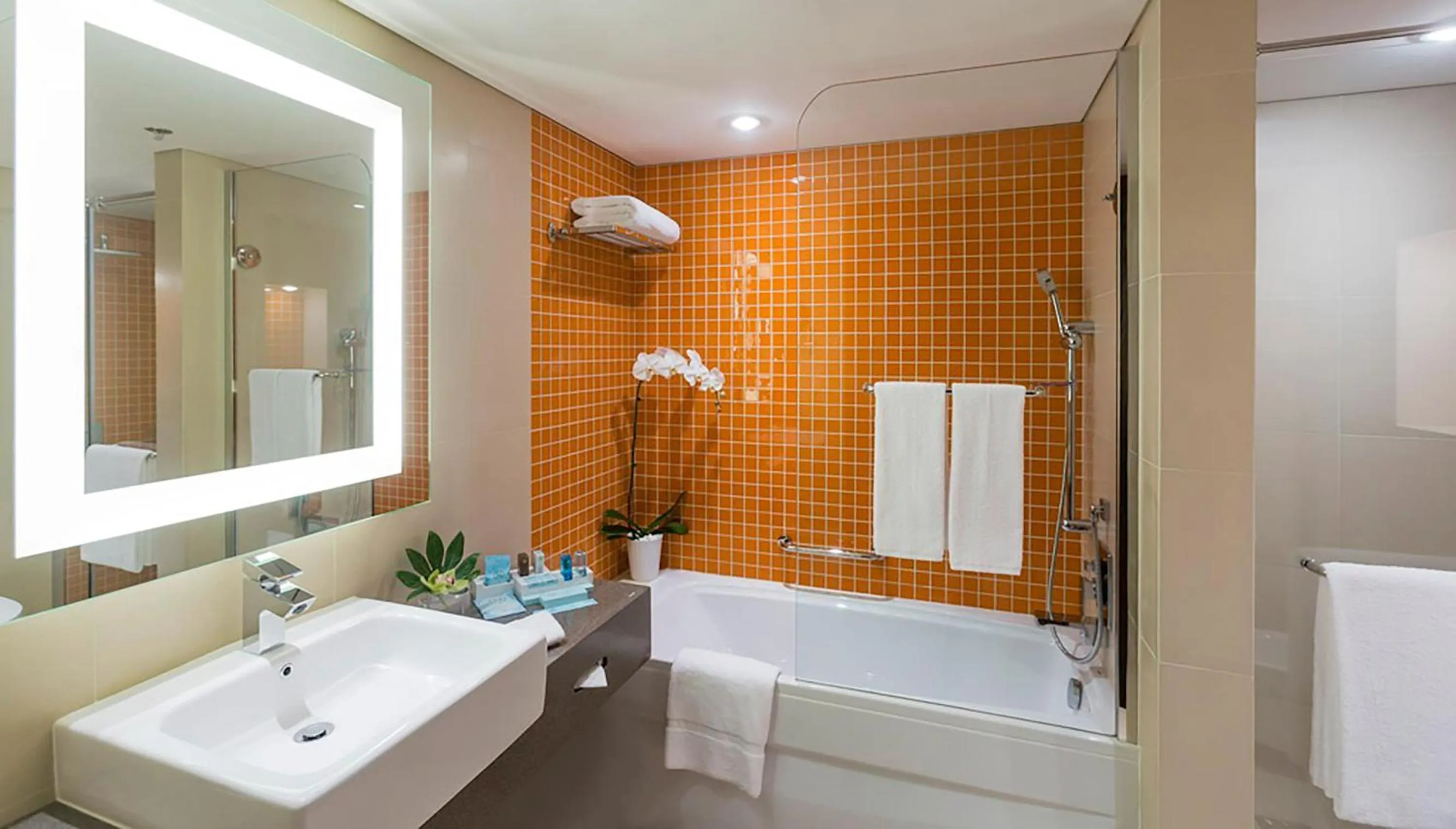 Bathroom in Novotel Dubai Al Barsha