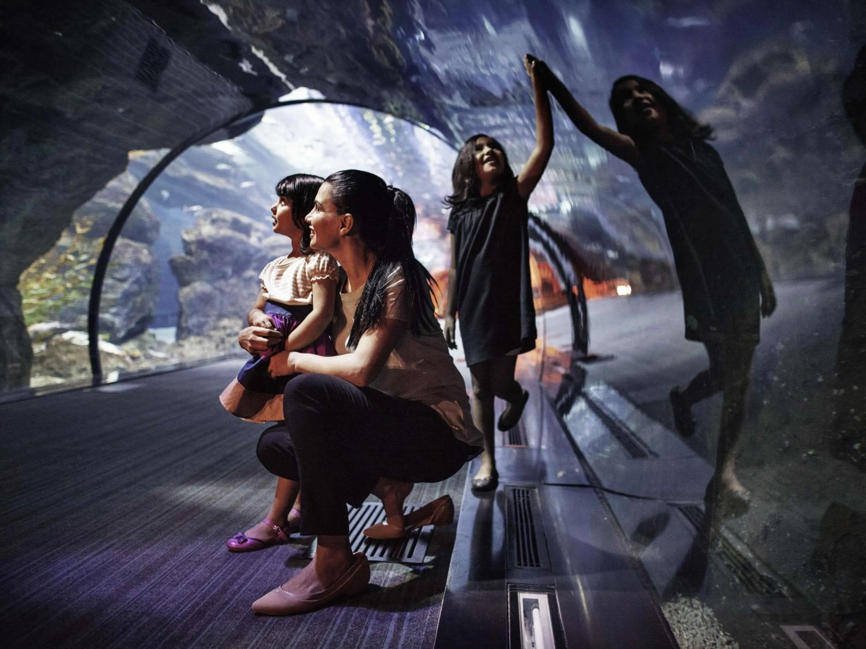 Other in Novotel Dubai Al Barsha