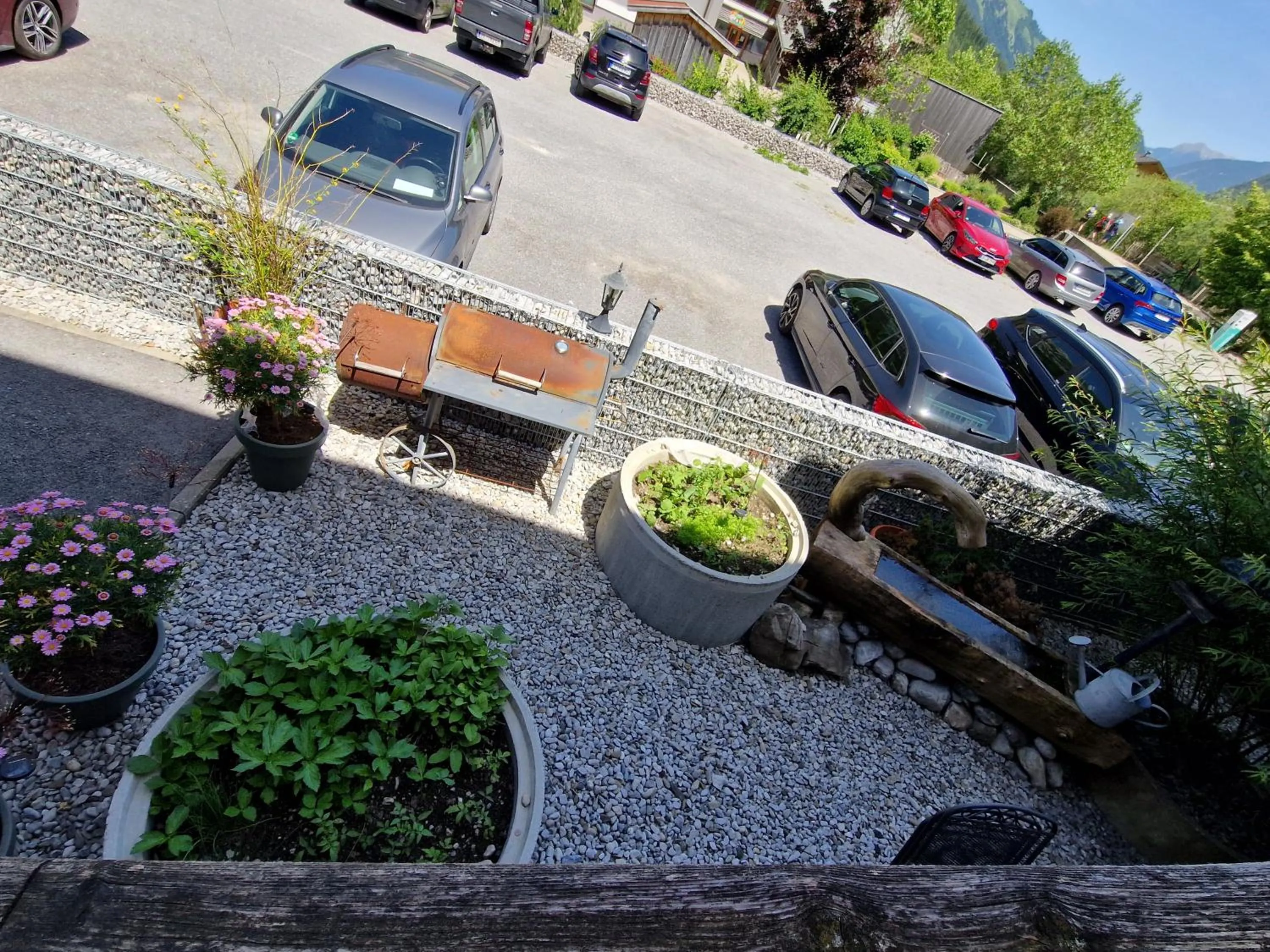 Garden in Pension Alpenblick
