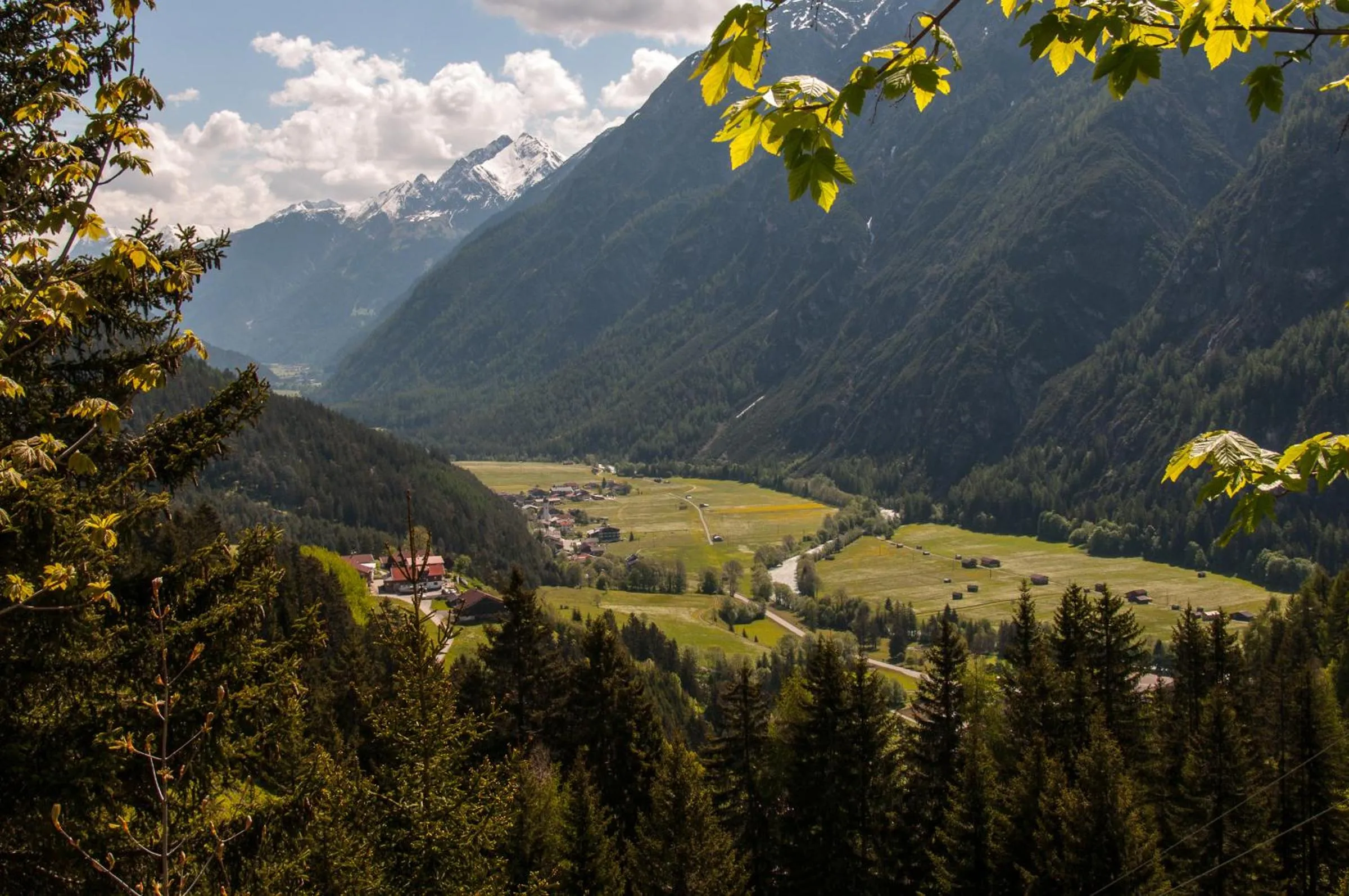 Horse-riding in Pension Alpenblick