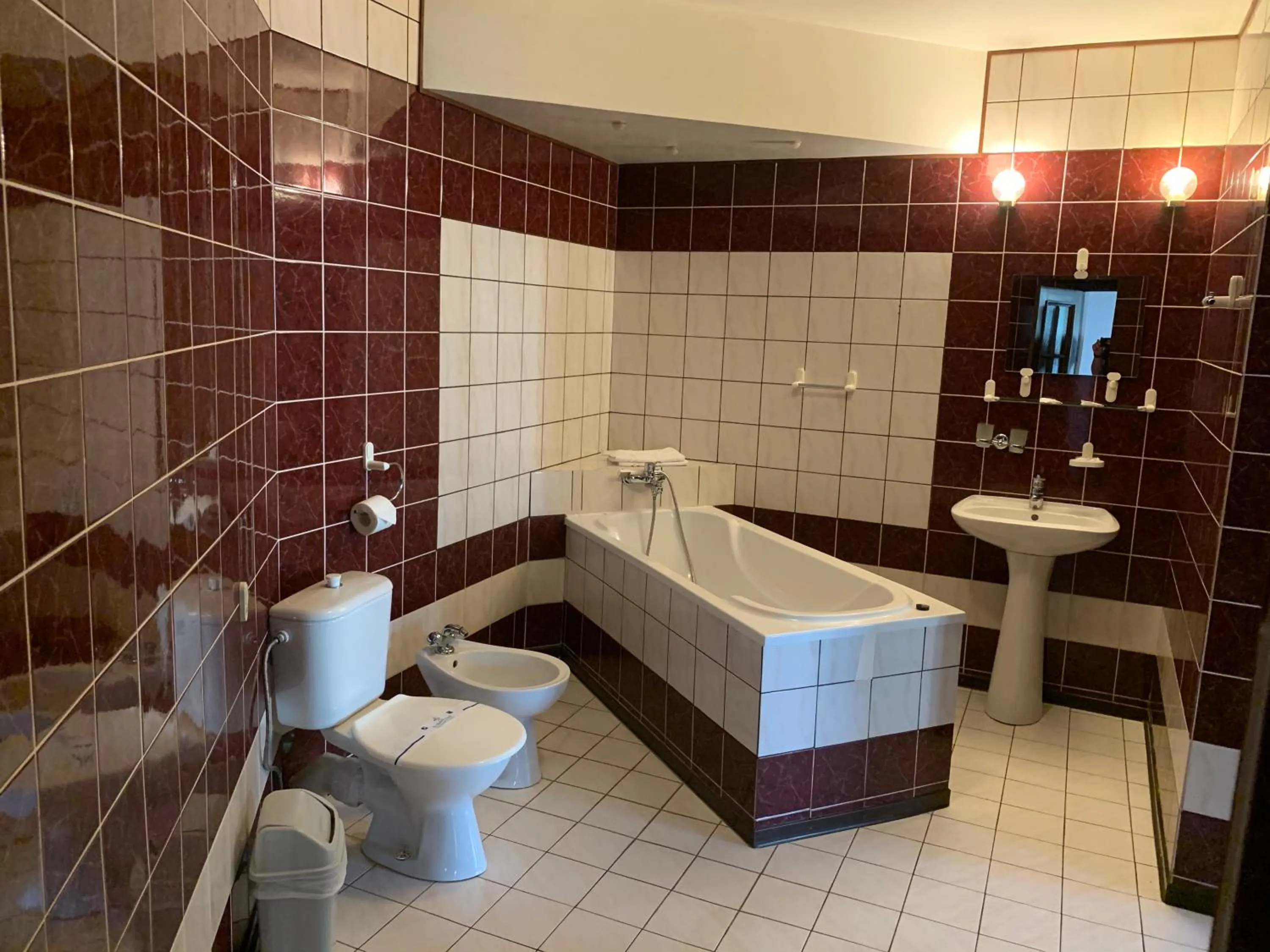 Toilet in Hotel Voskresensky