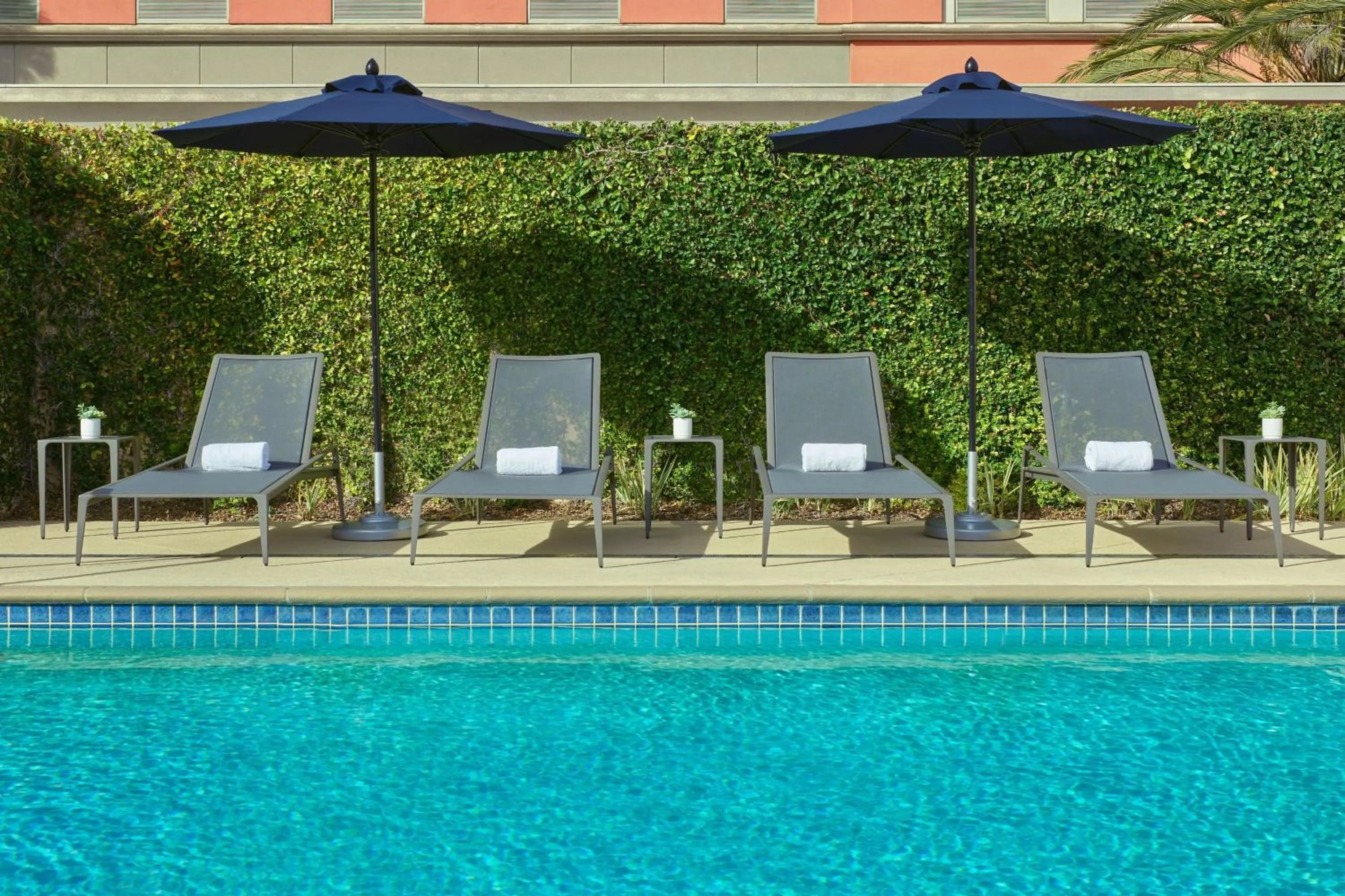 Swimming pool in Courtyard Culver City Los Angeles