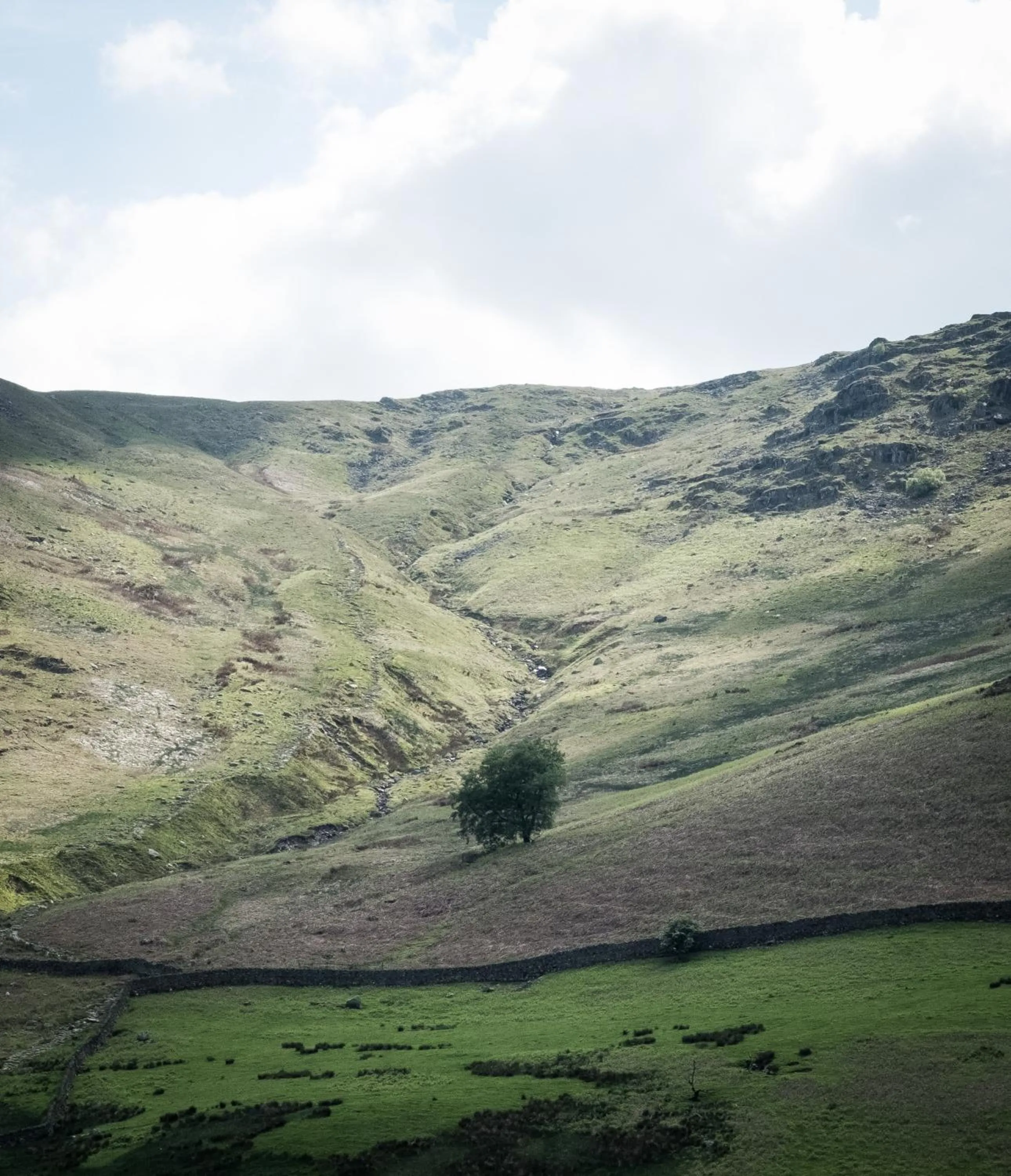 Natural landscape in YHA Helvellyn