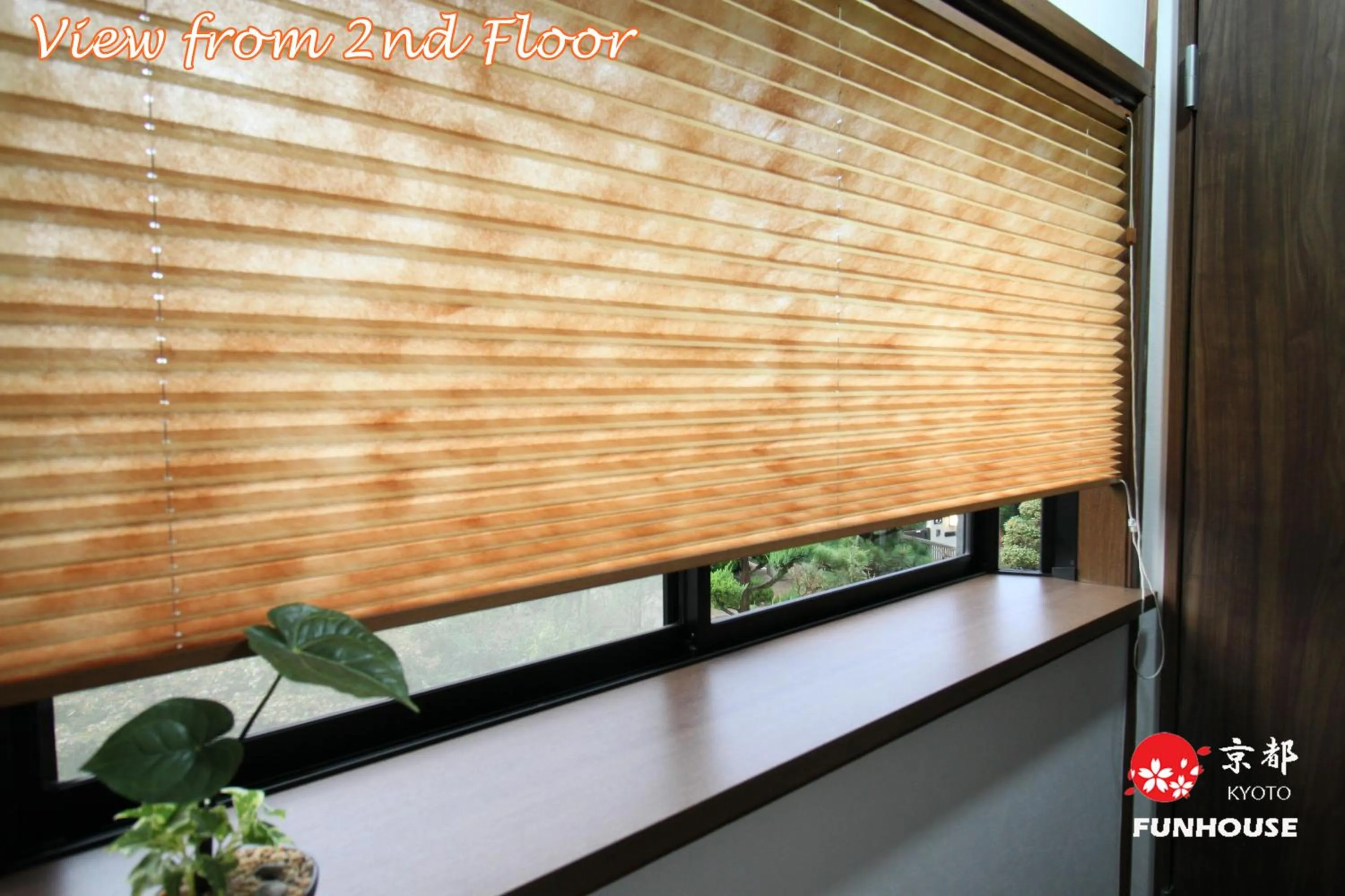 Garden view in Funhouse Kaori