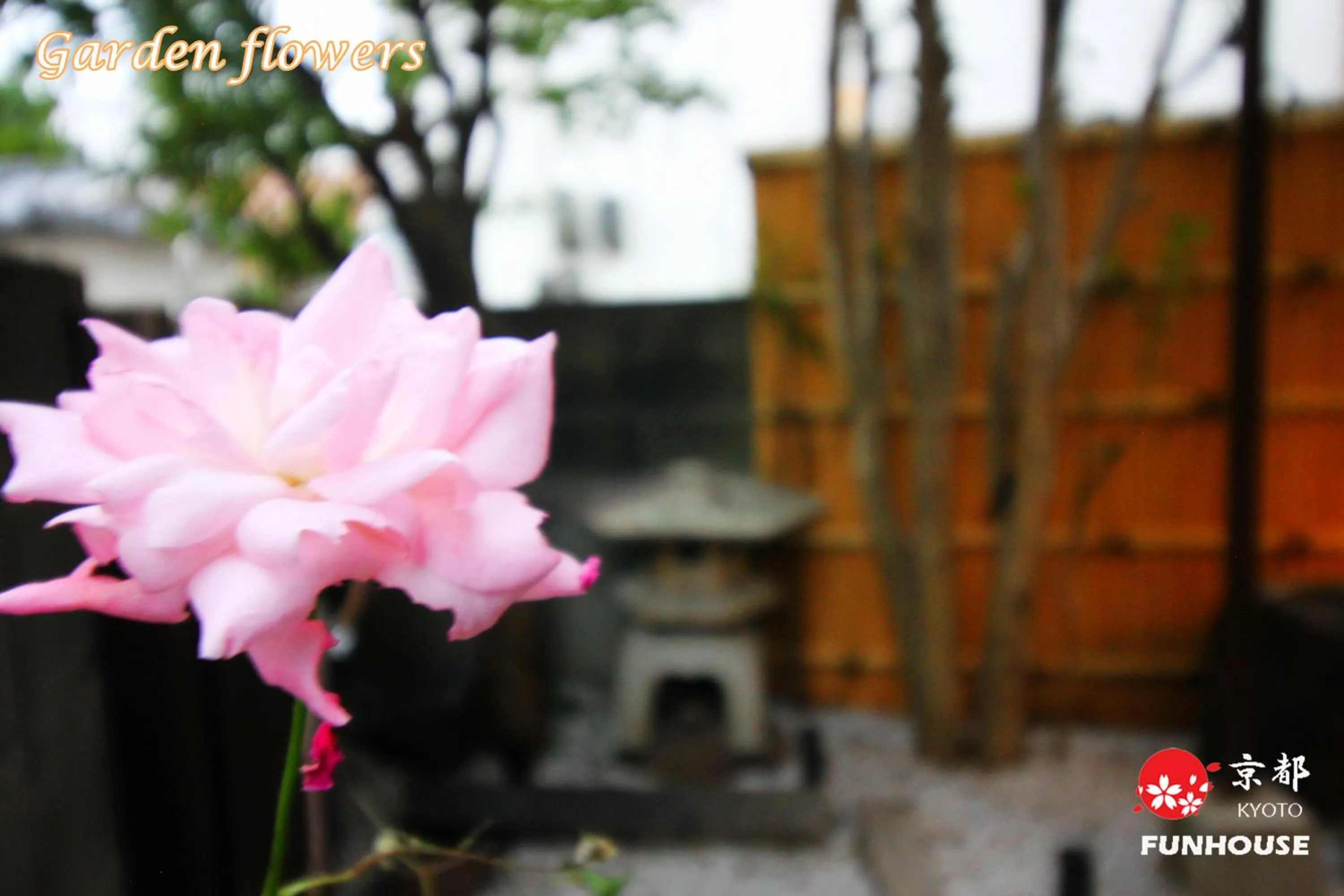 Property building in Funhouse Kaori