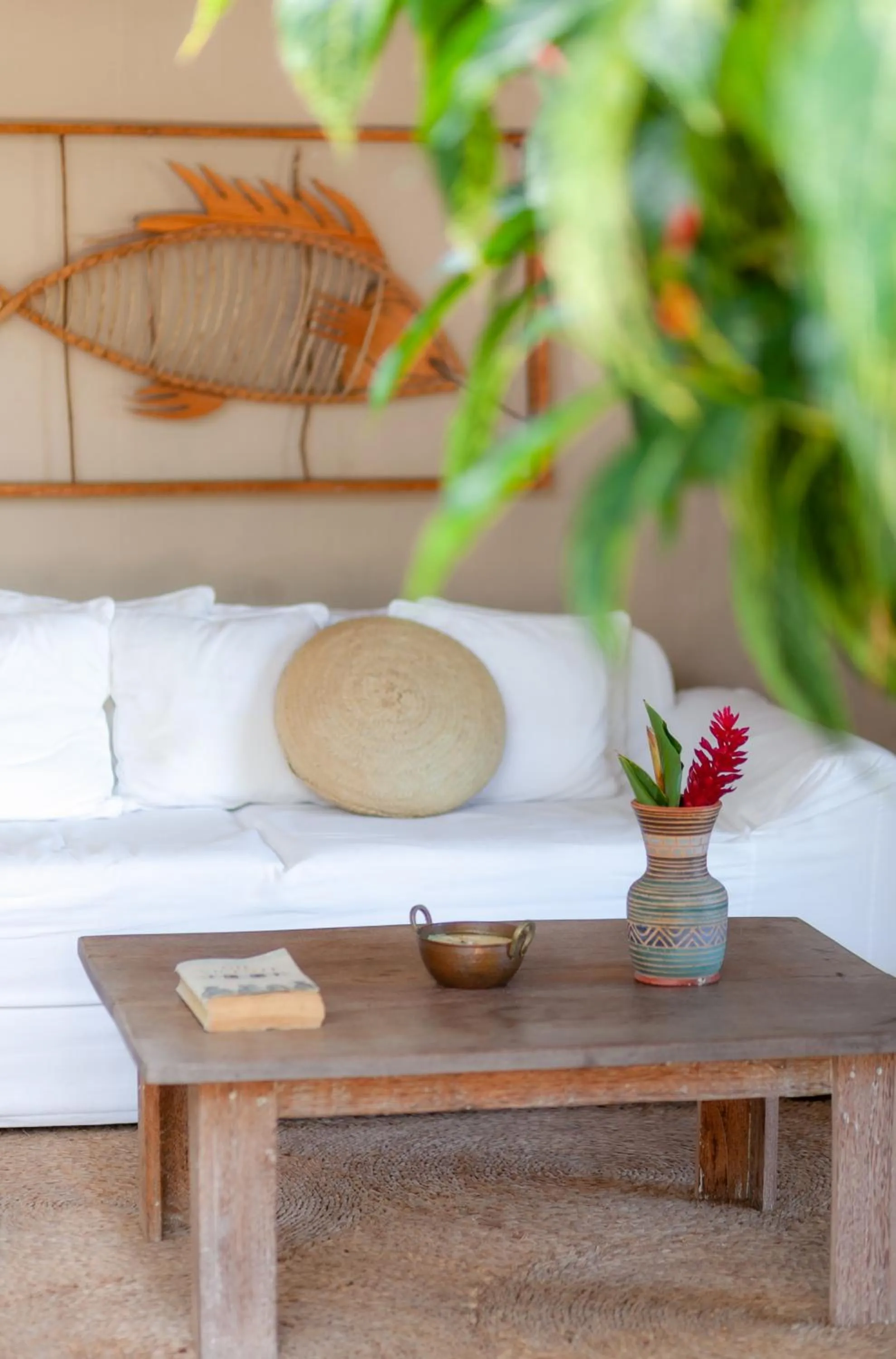 Casa Rabanete Trancoso