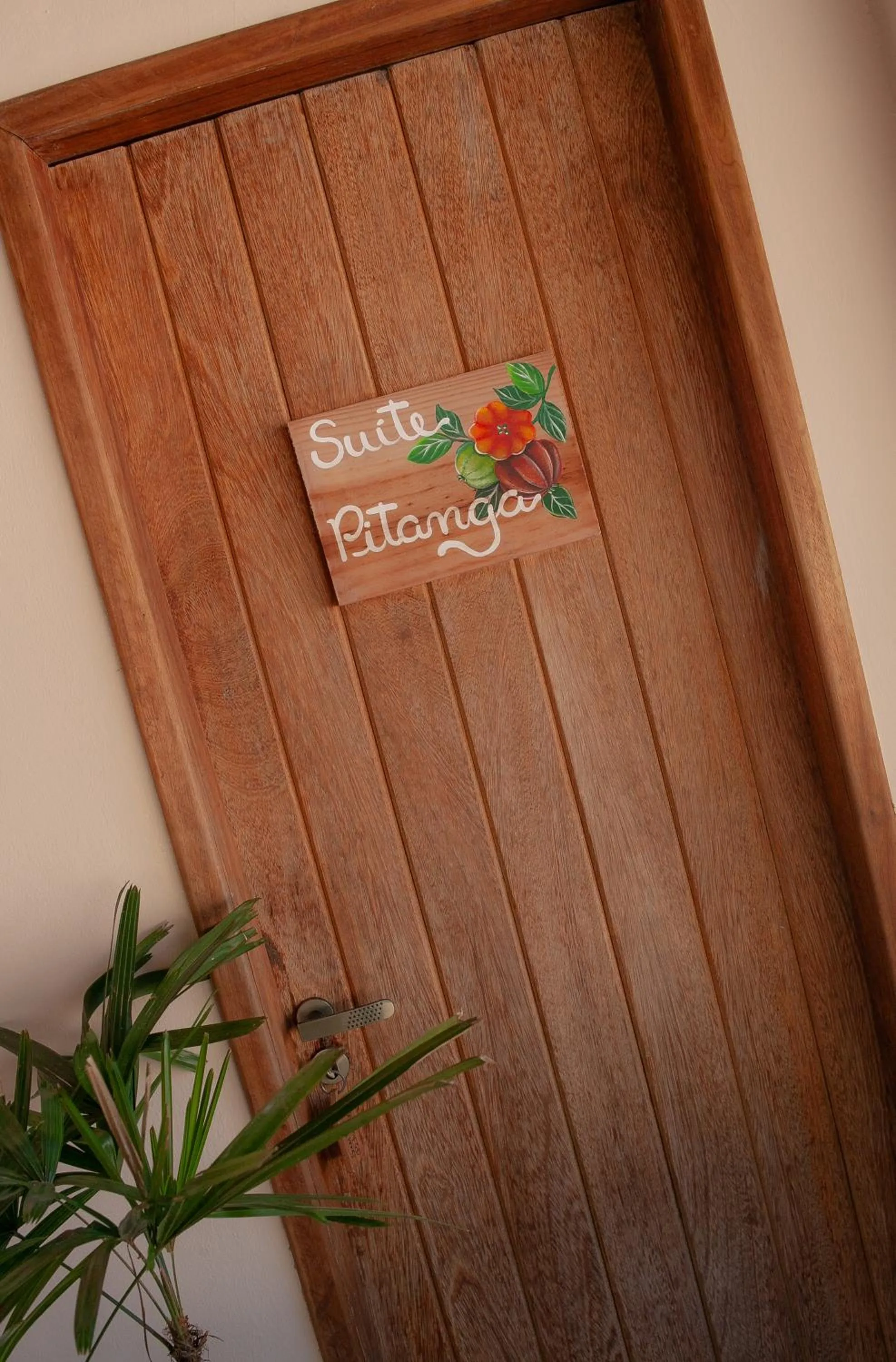 Casa Rabanete Trancoso