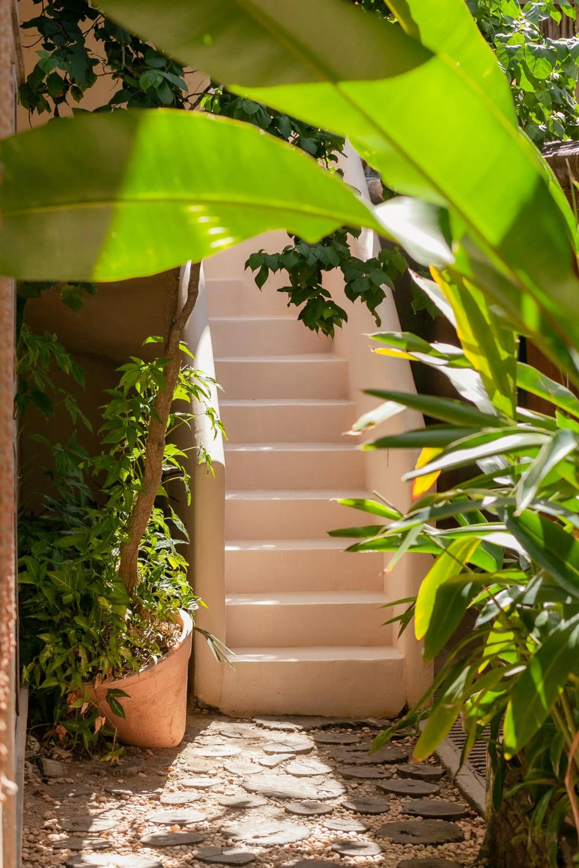 Casa Rabanete Trancoso