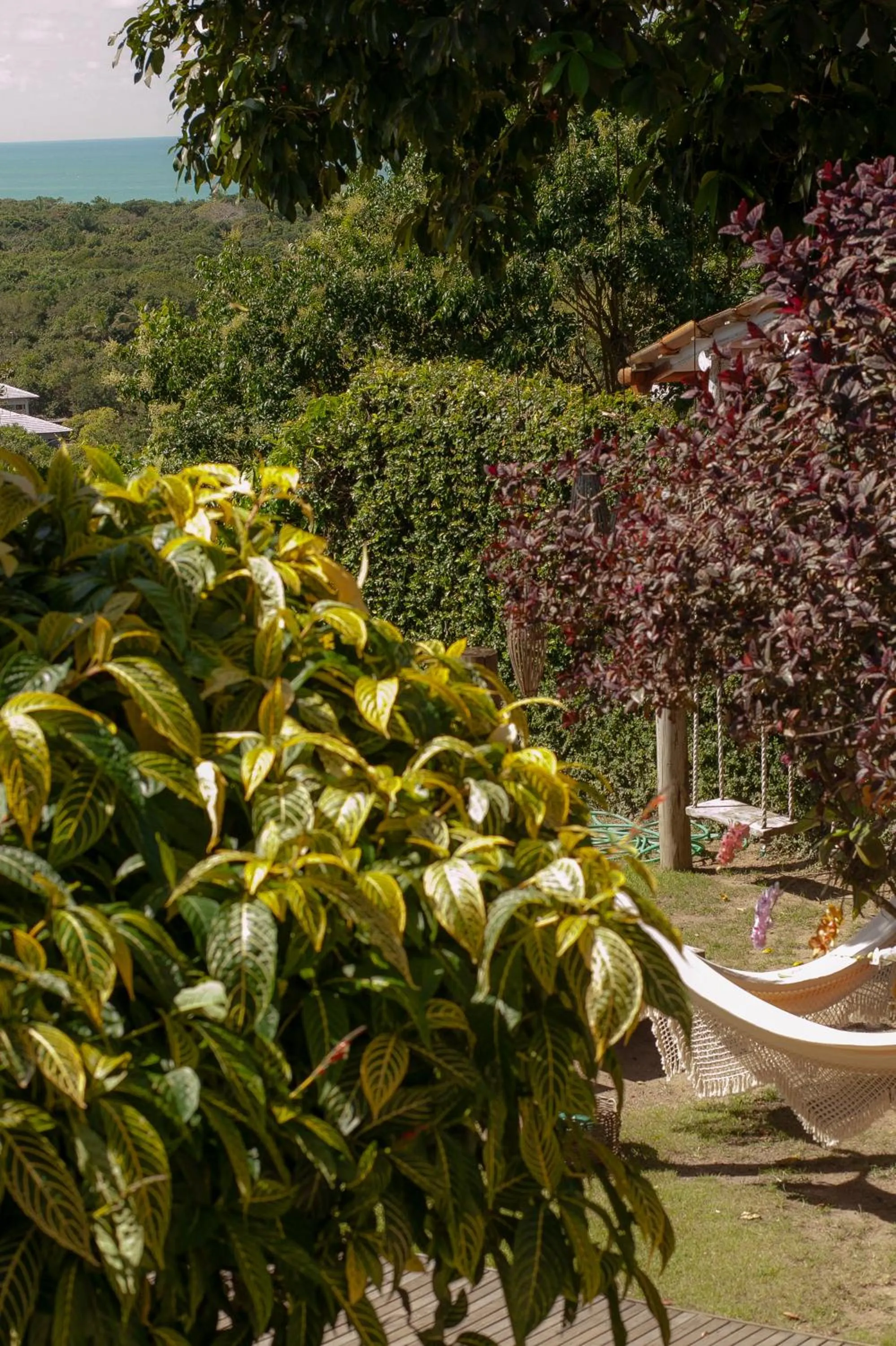 Casa Rabanete Trancoso