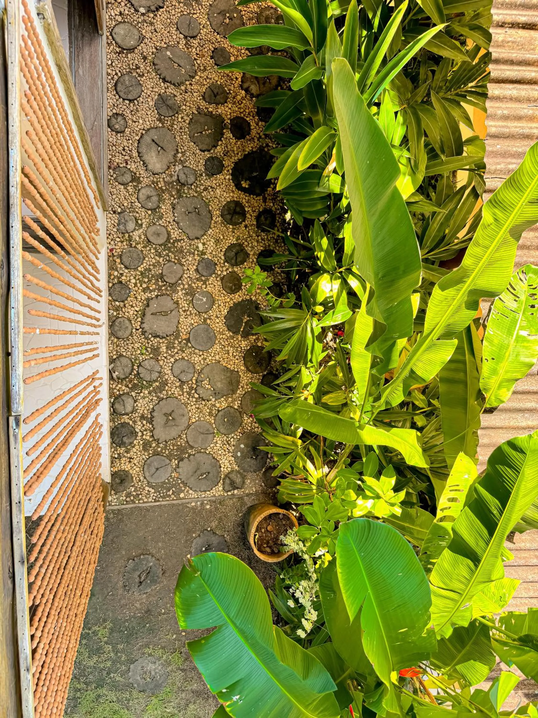 Casa Rabanete Trancoso