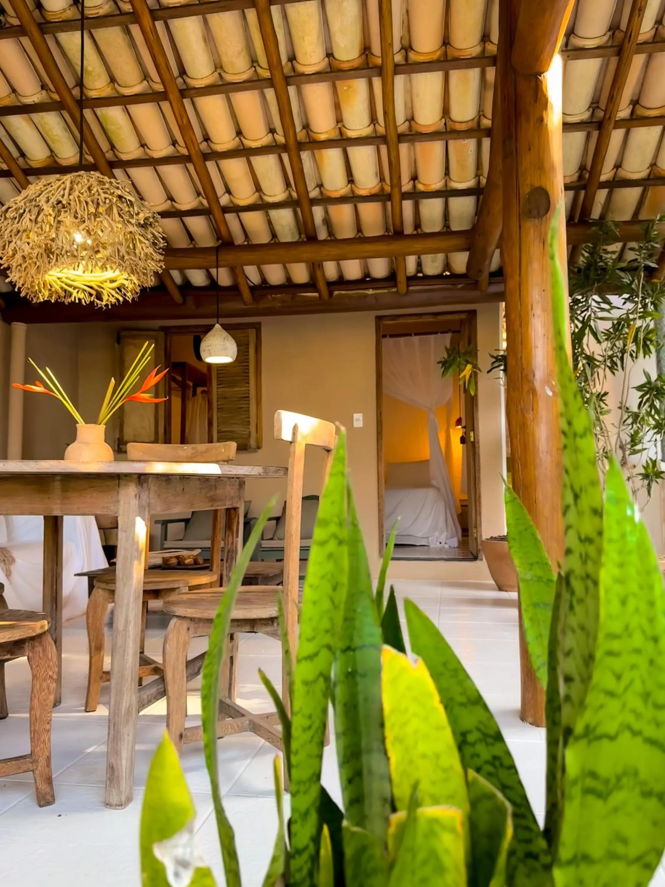 Casa Rabanete Trancoso