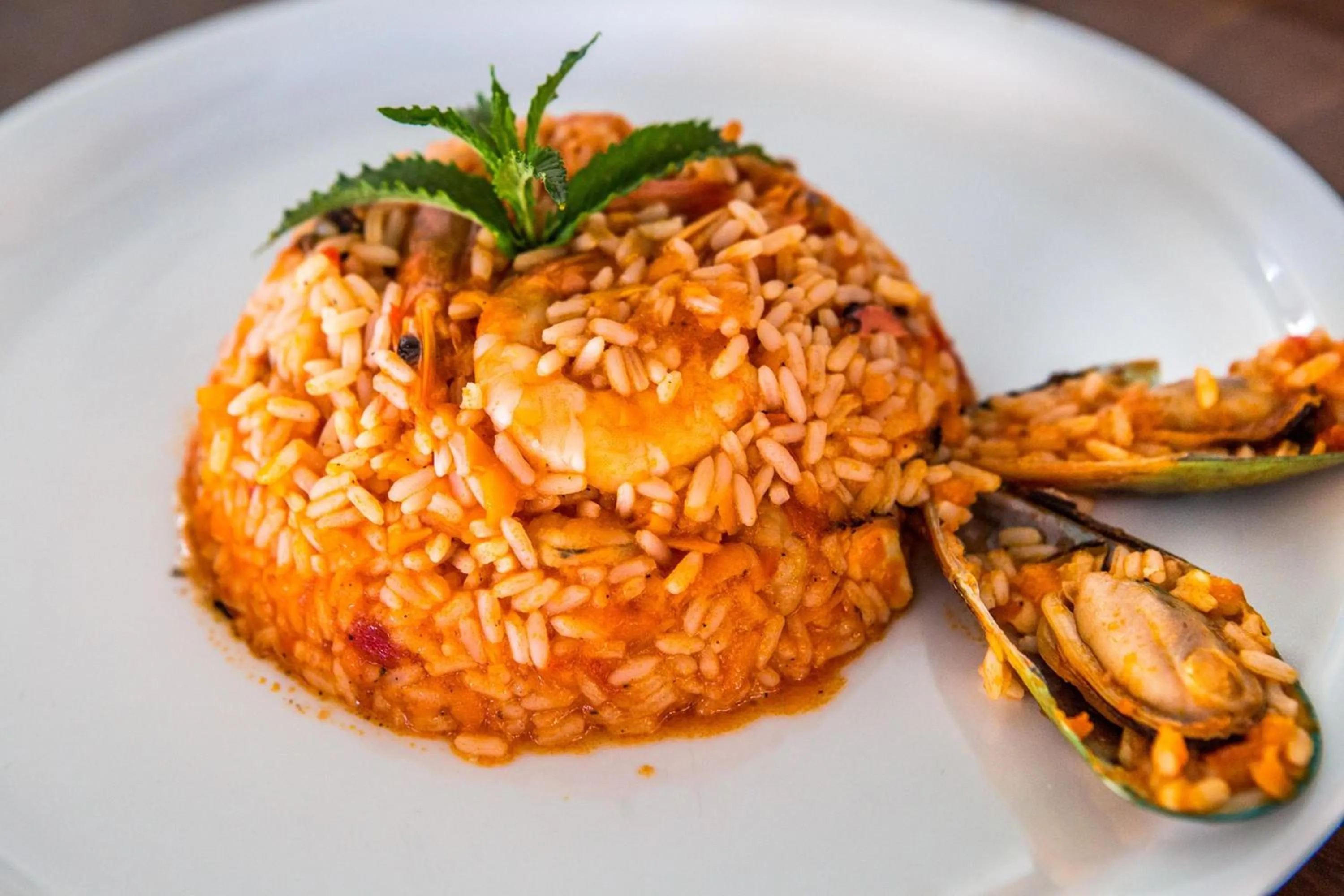 Food and drinks in Livikon by the Sea