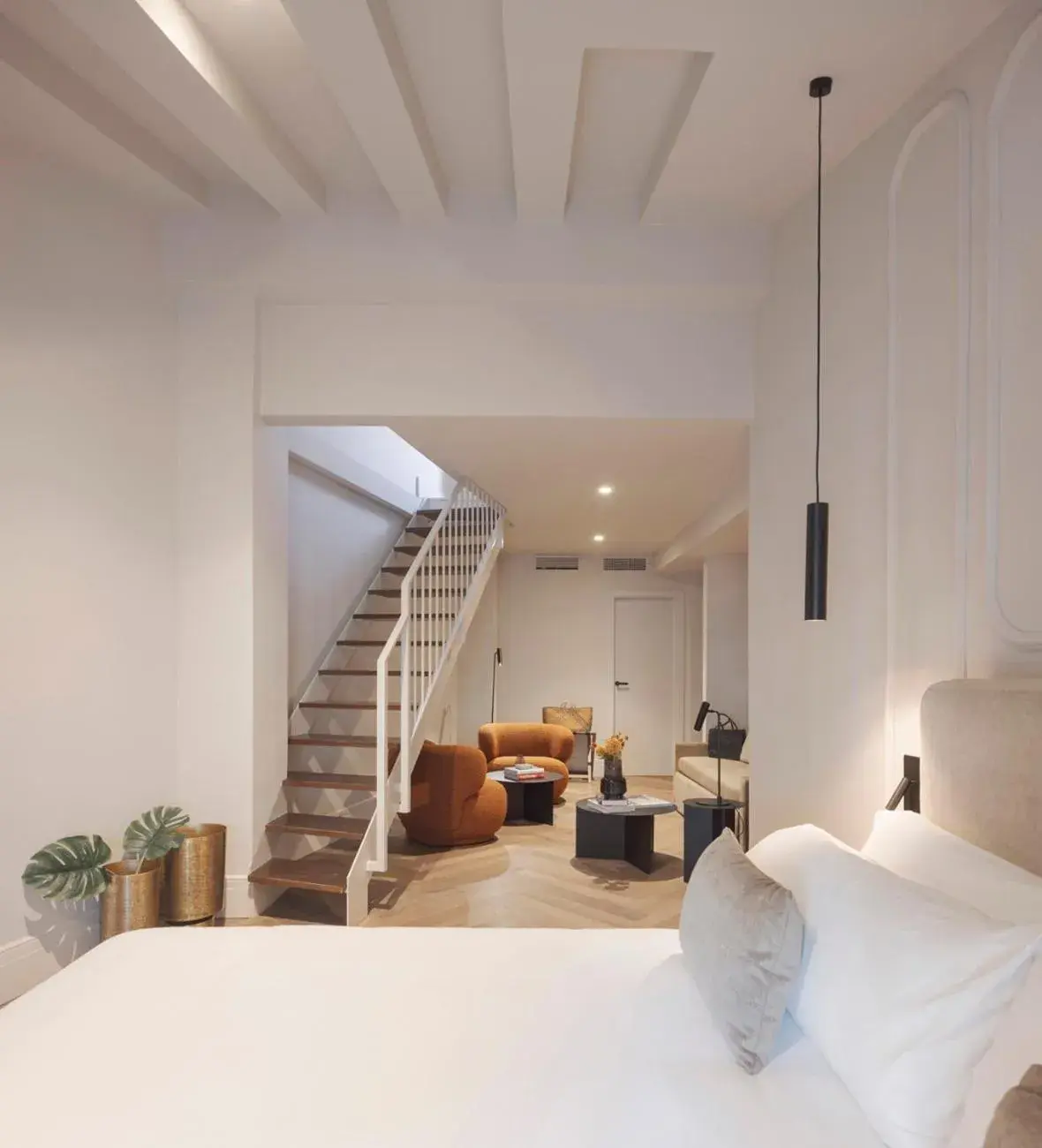 Biggy (5-6 Adults) in Lotelito Biggy (5-6 Adults) in Lotelito