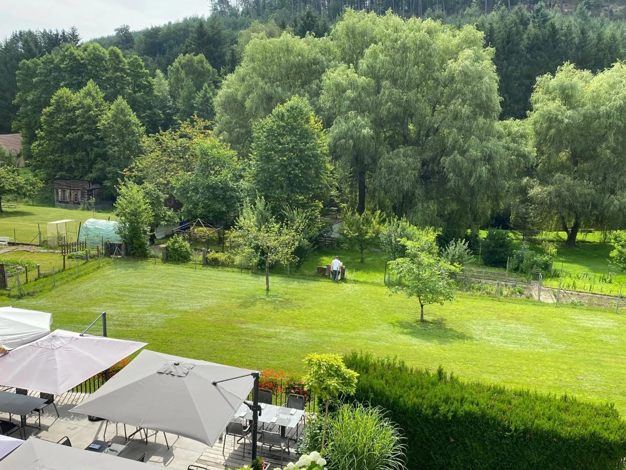Garden in Hôtel Restaurant La Couronne by K