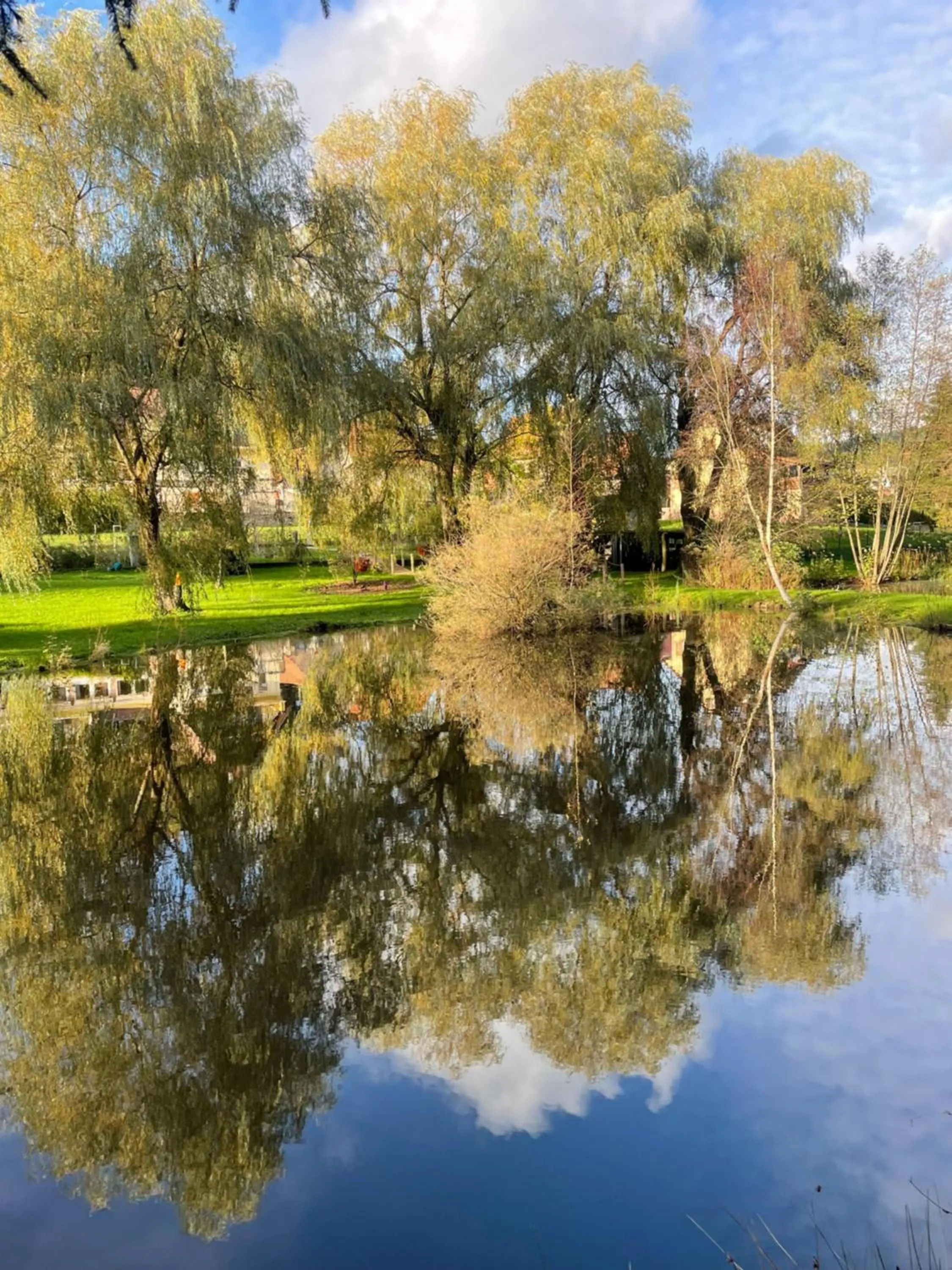 Garden in Hôtel Restaurant La Couronne by K