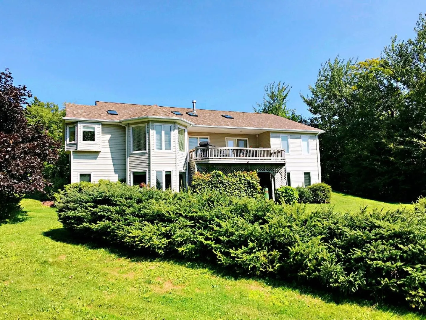 Property building in Lily's garden